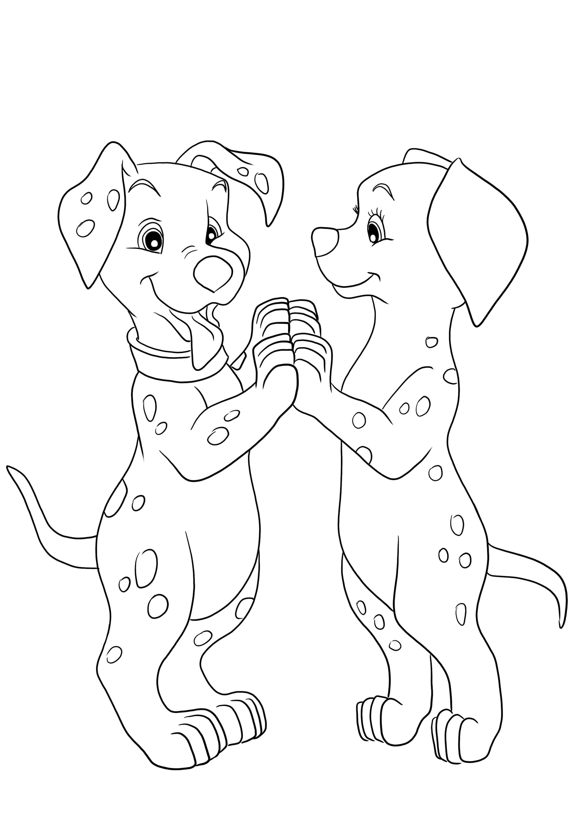 Dalmatian dancing