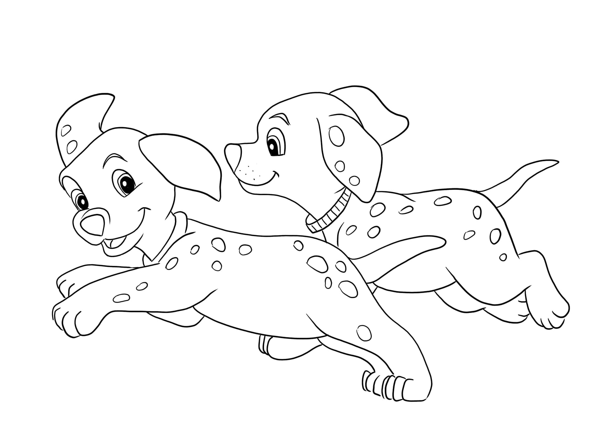 Dalmatian puppies