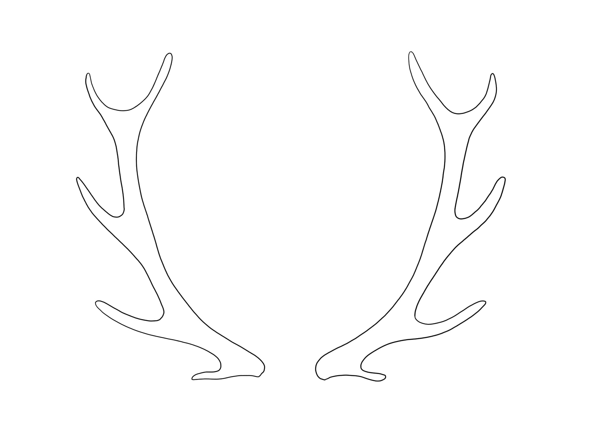 Deer Antlers