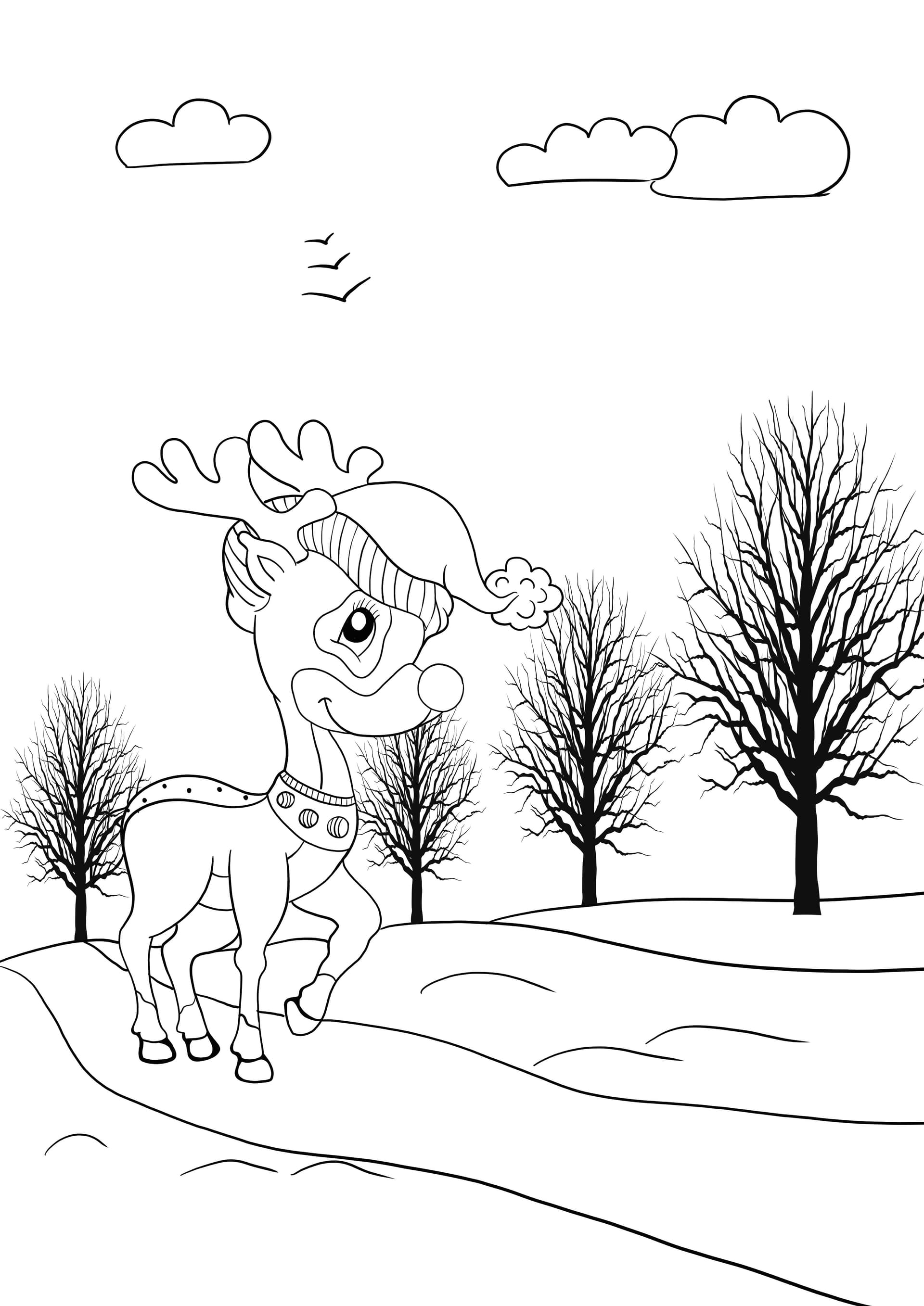 deer in the woods