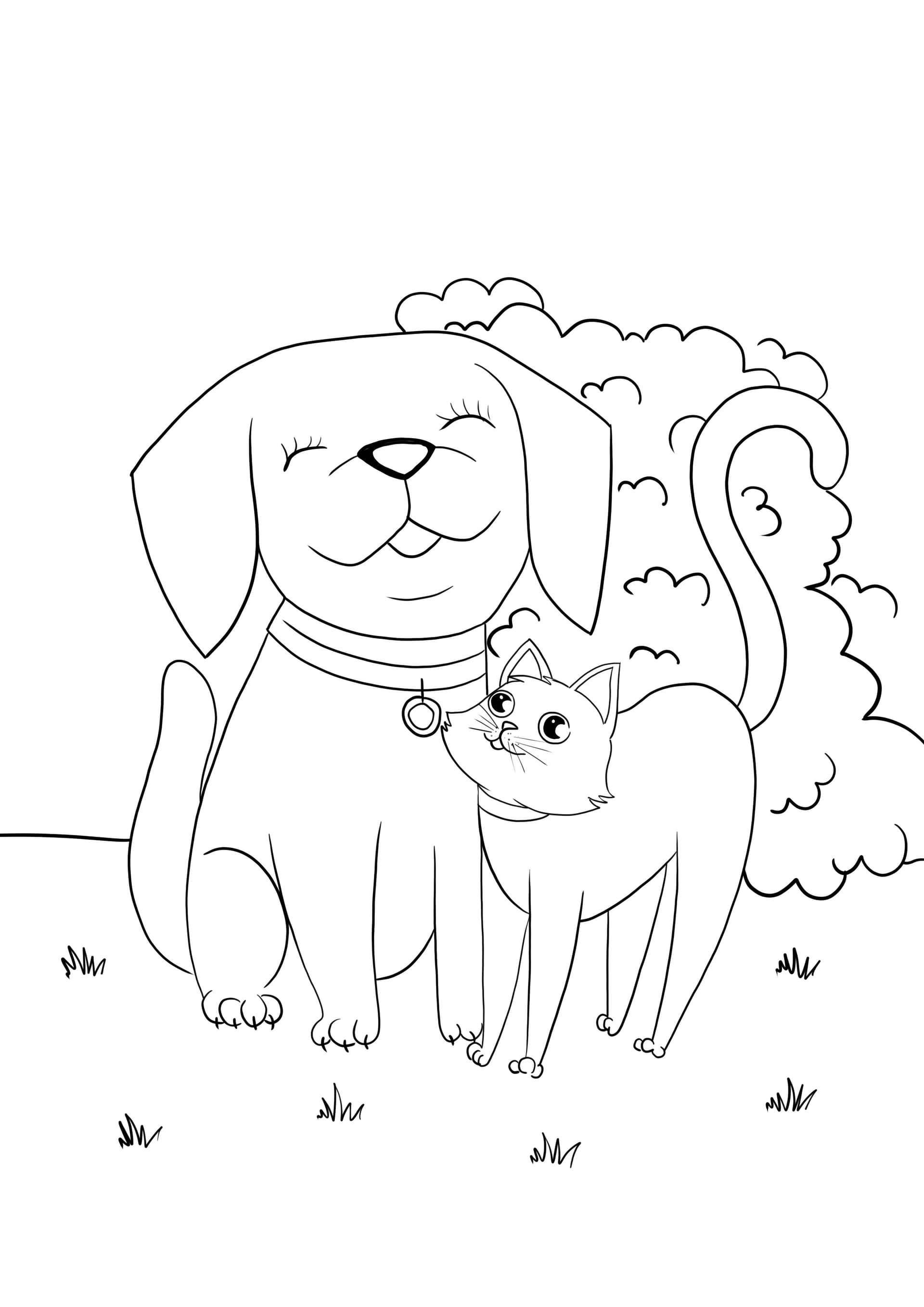 Dog and cat cuddling