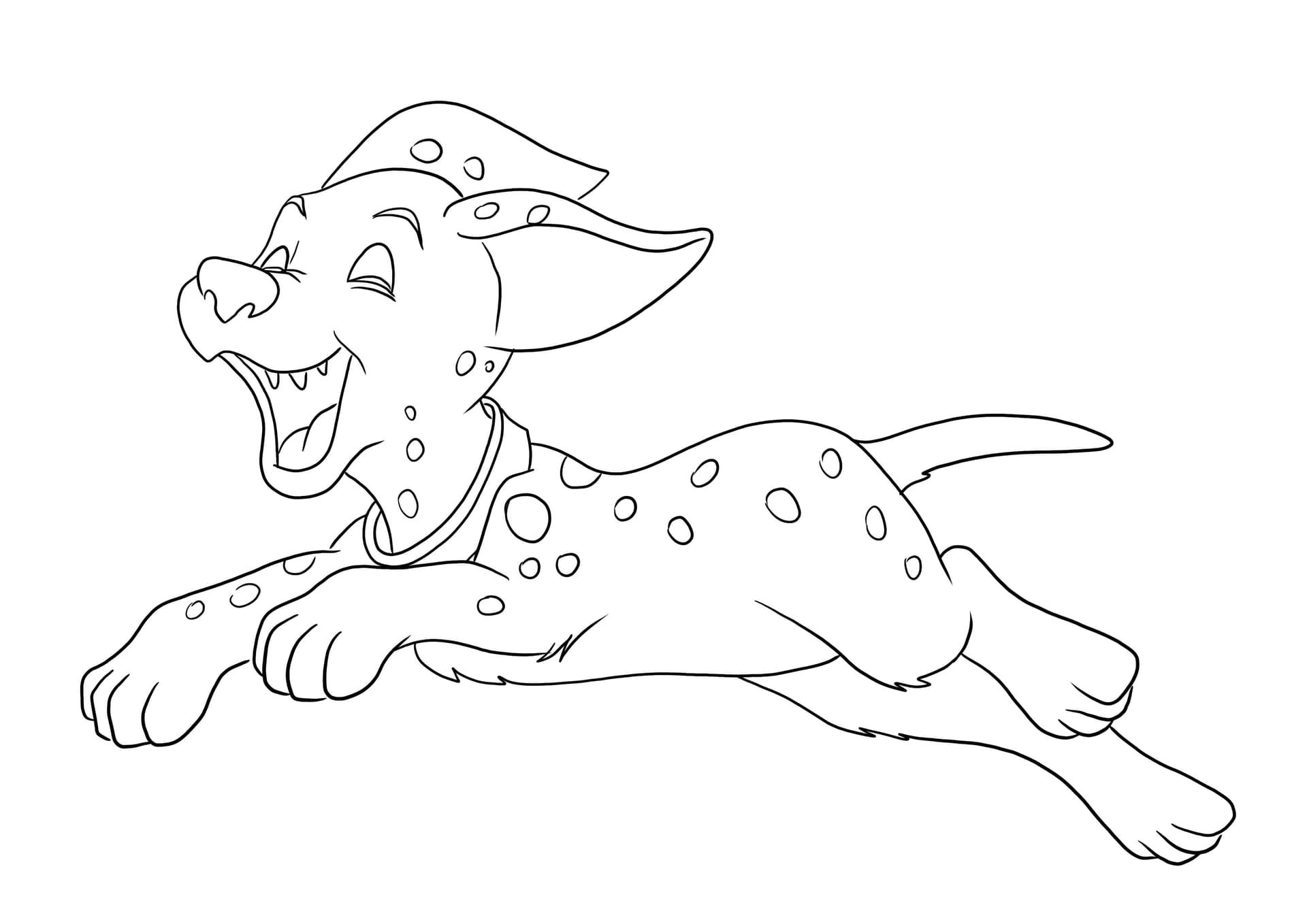 Dotty