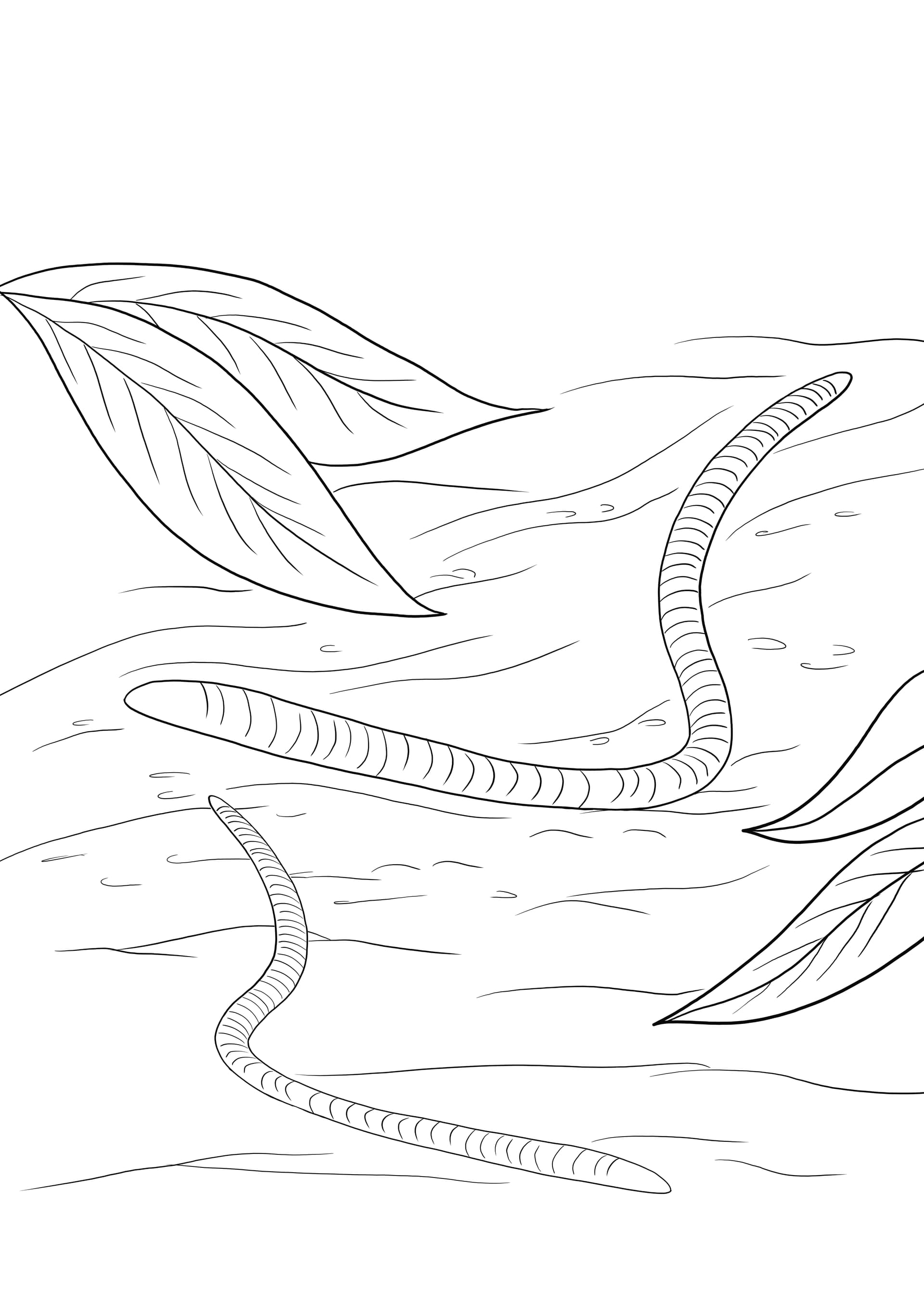 Earthworms