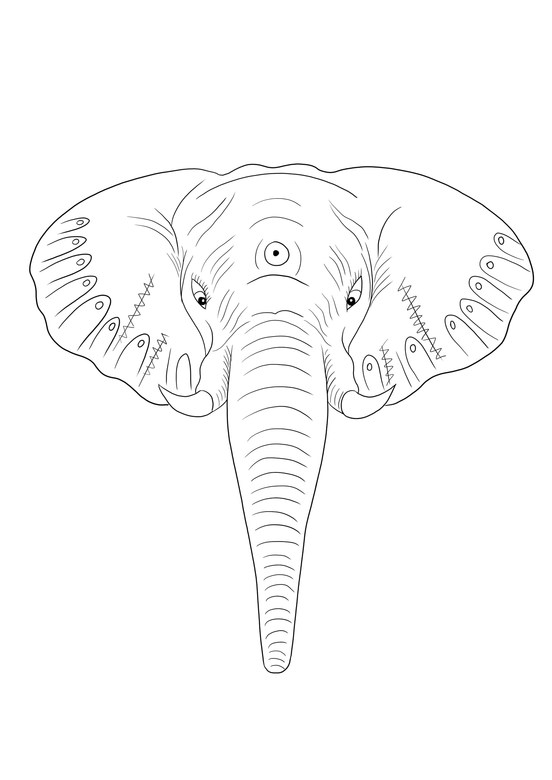 Elephant's head