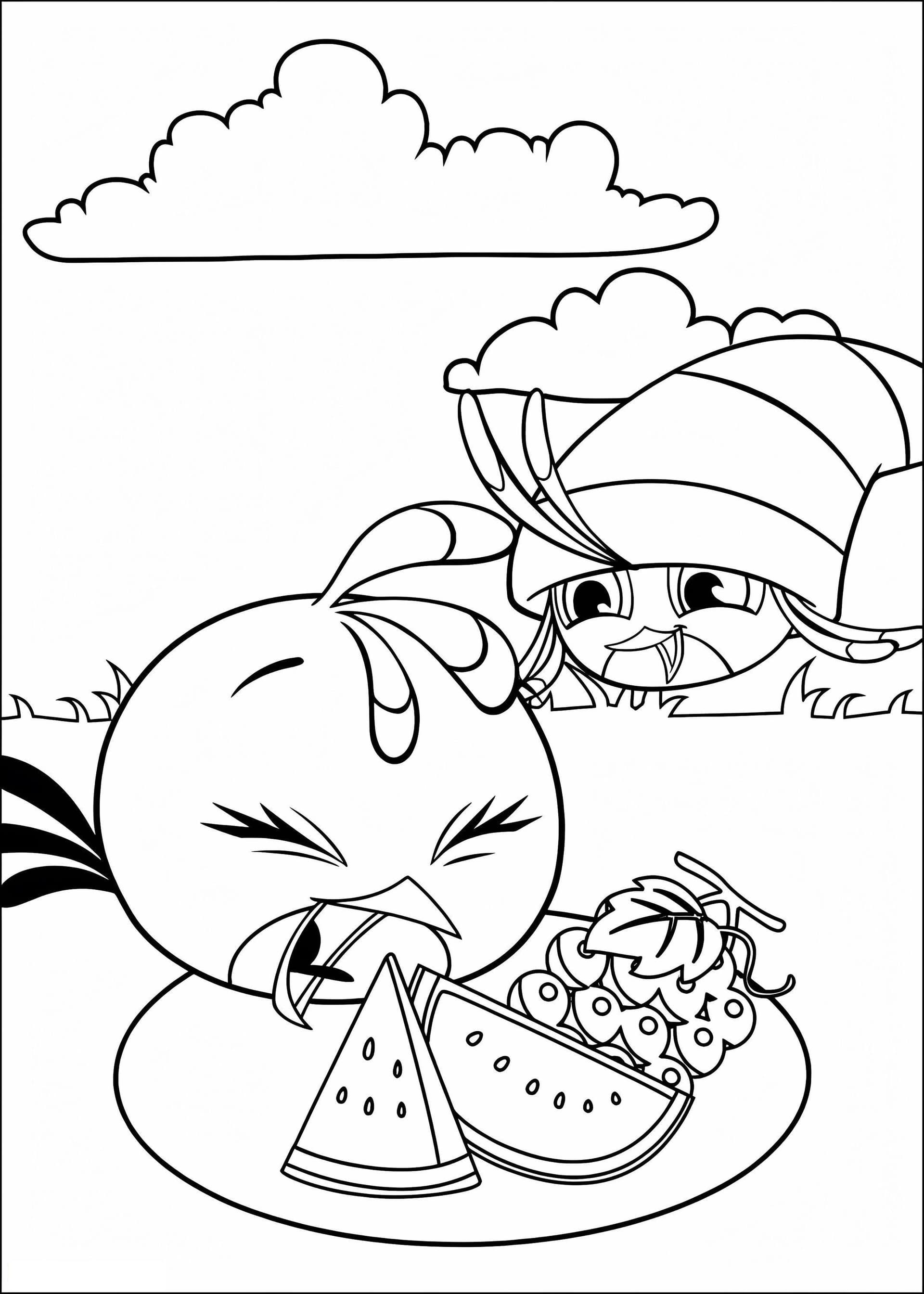 Angry Stella Bird Eating Watermelon