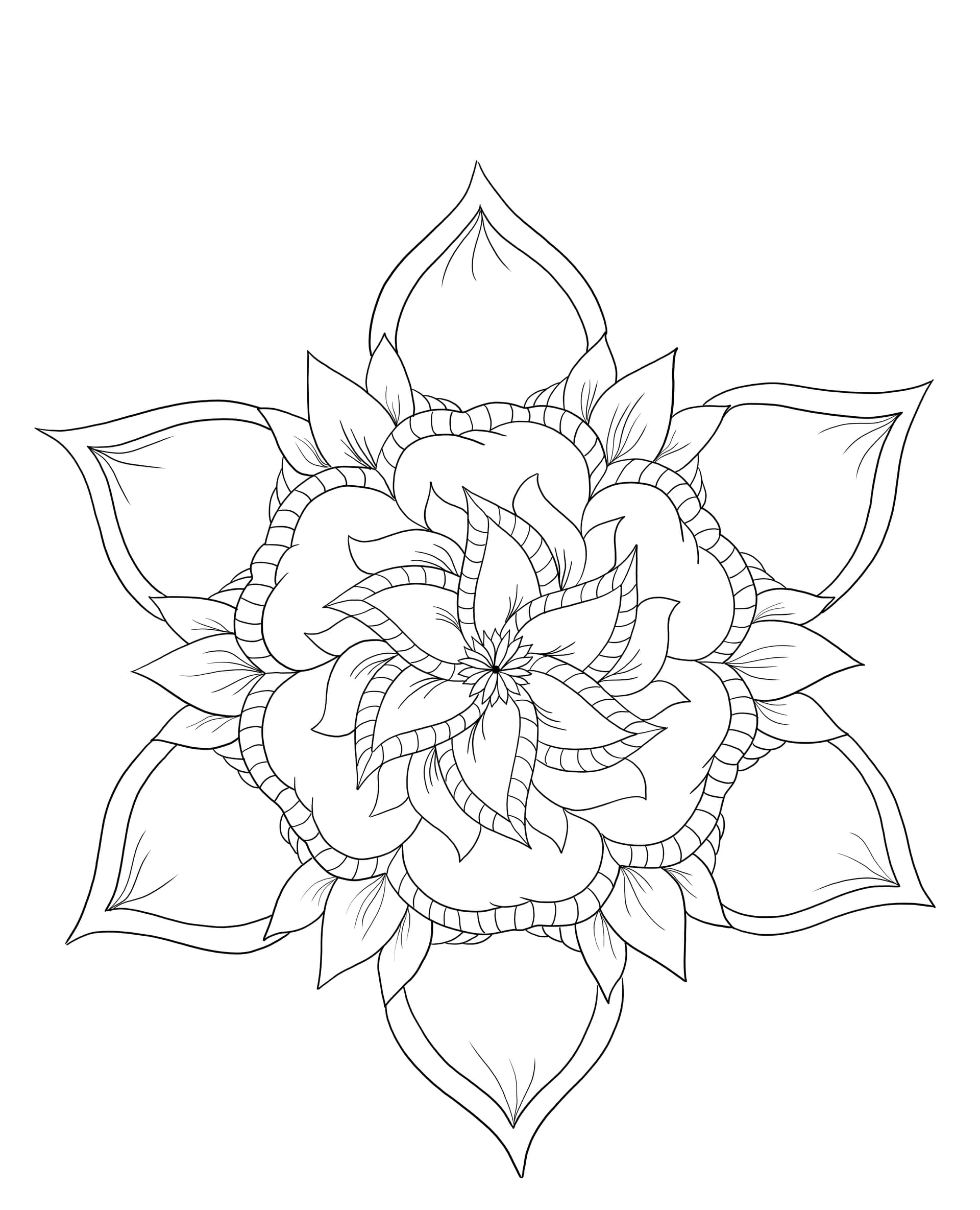 Exotic flower