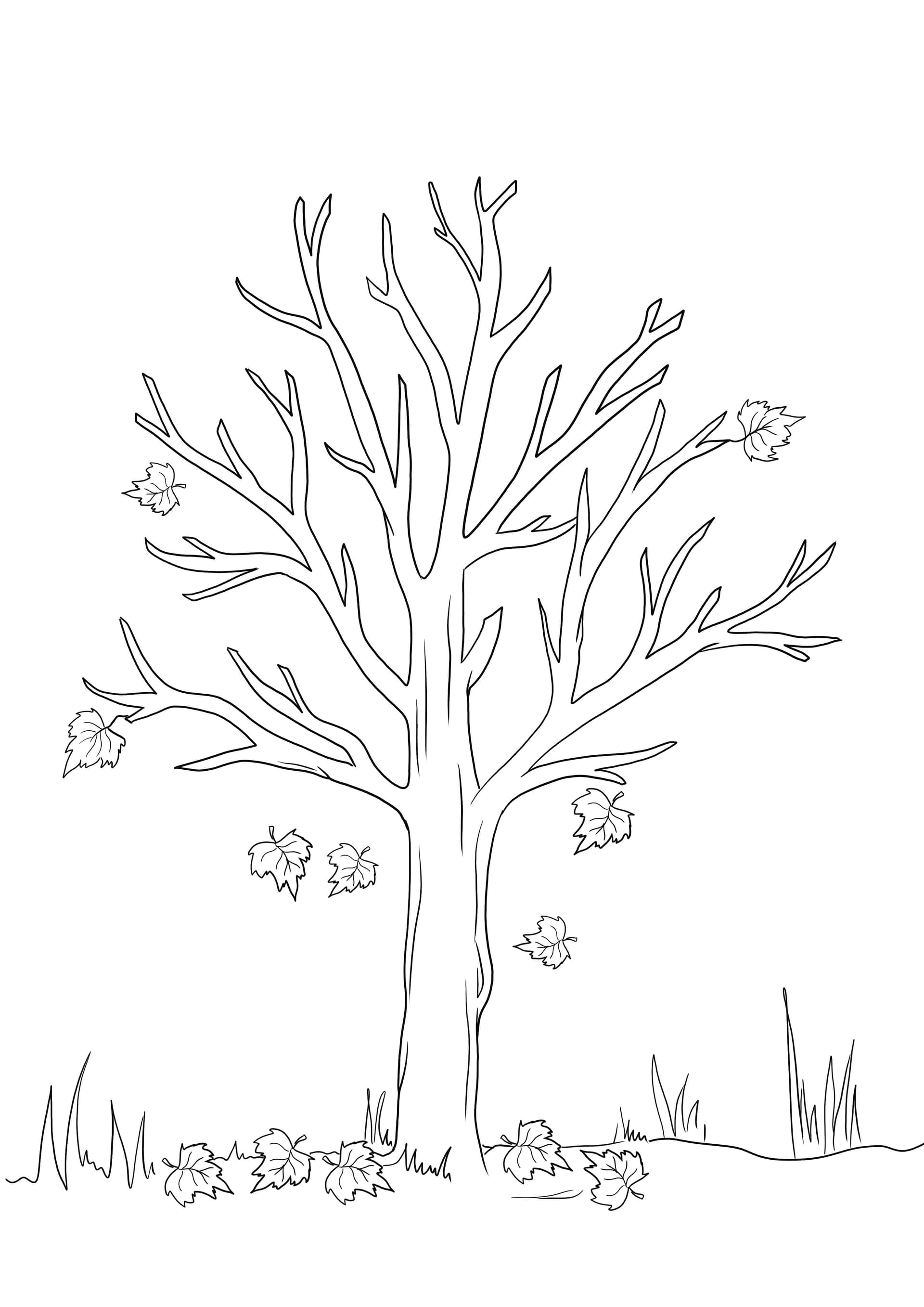 Fall Tree