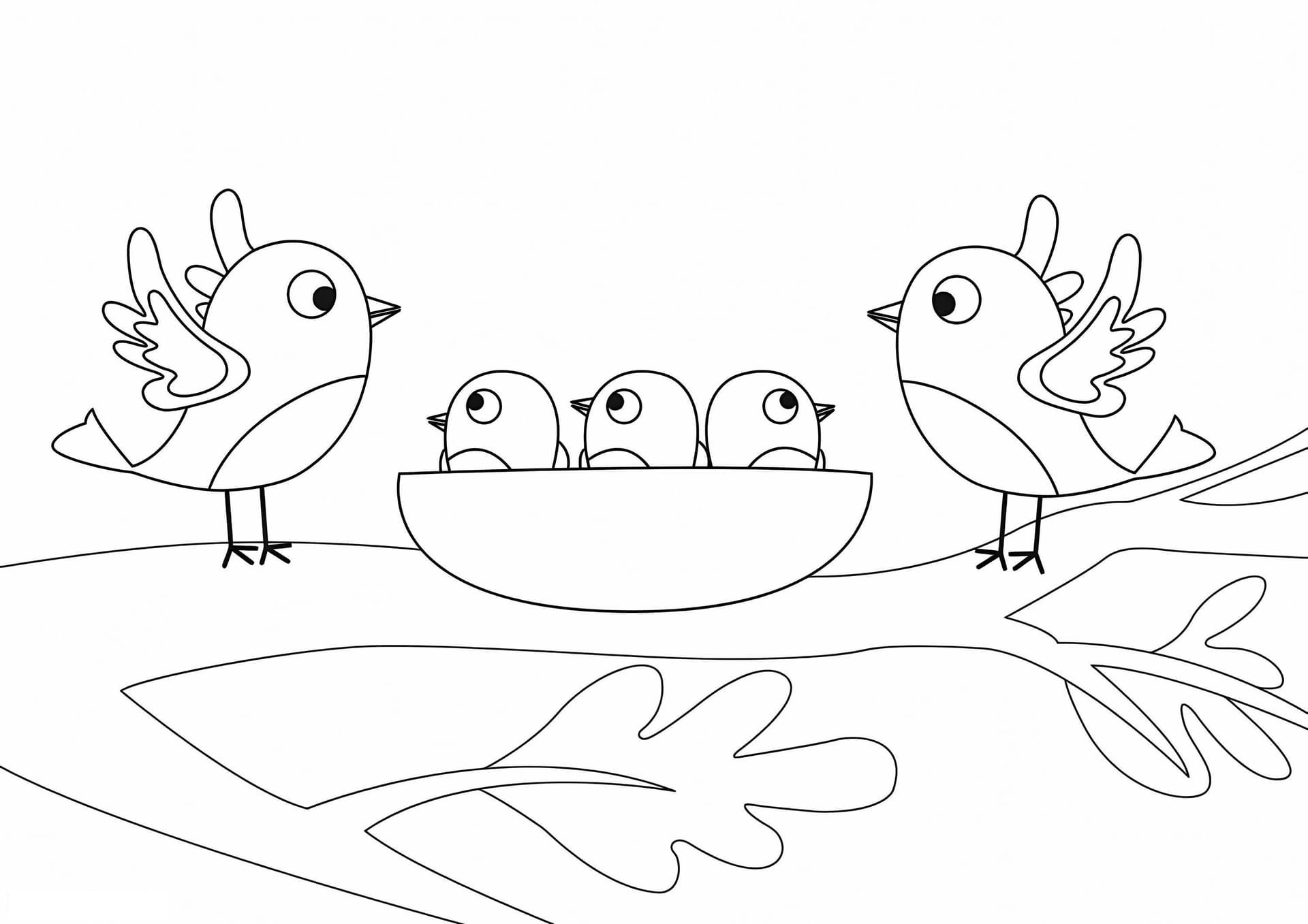 Bird Family