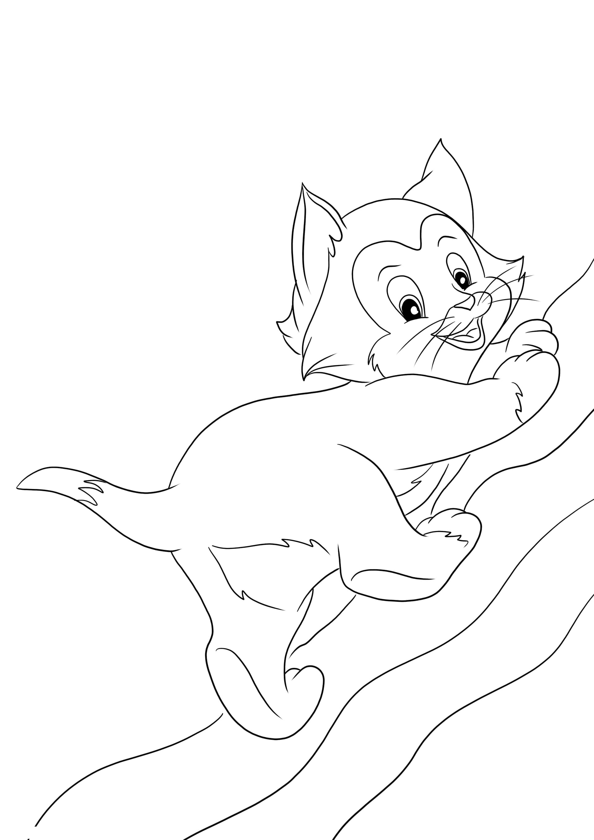 Figaro