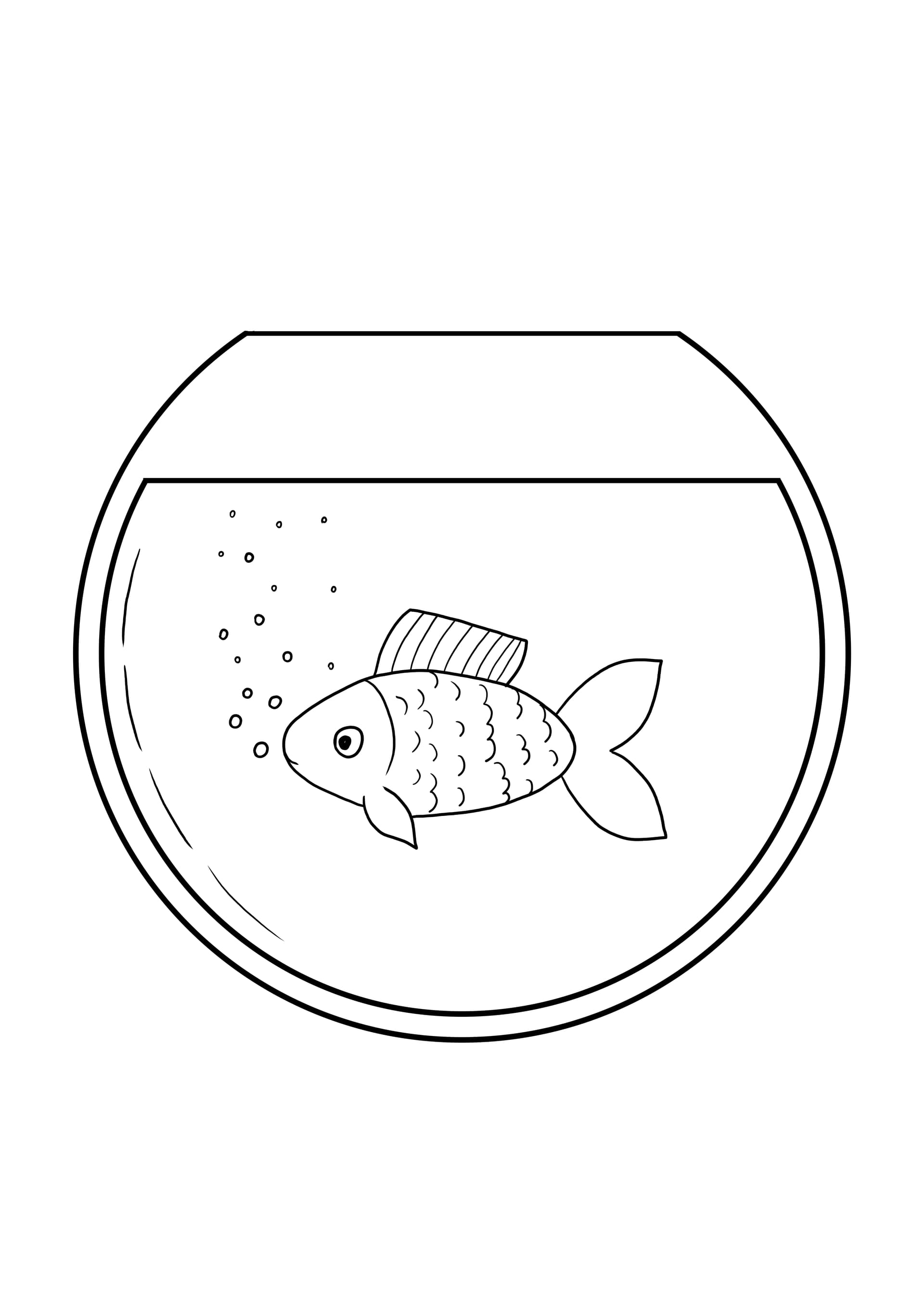 Fish bowl aquarium