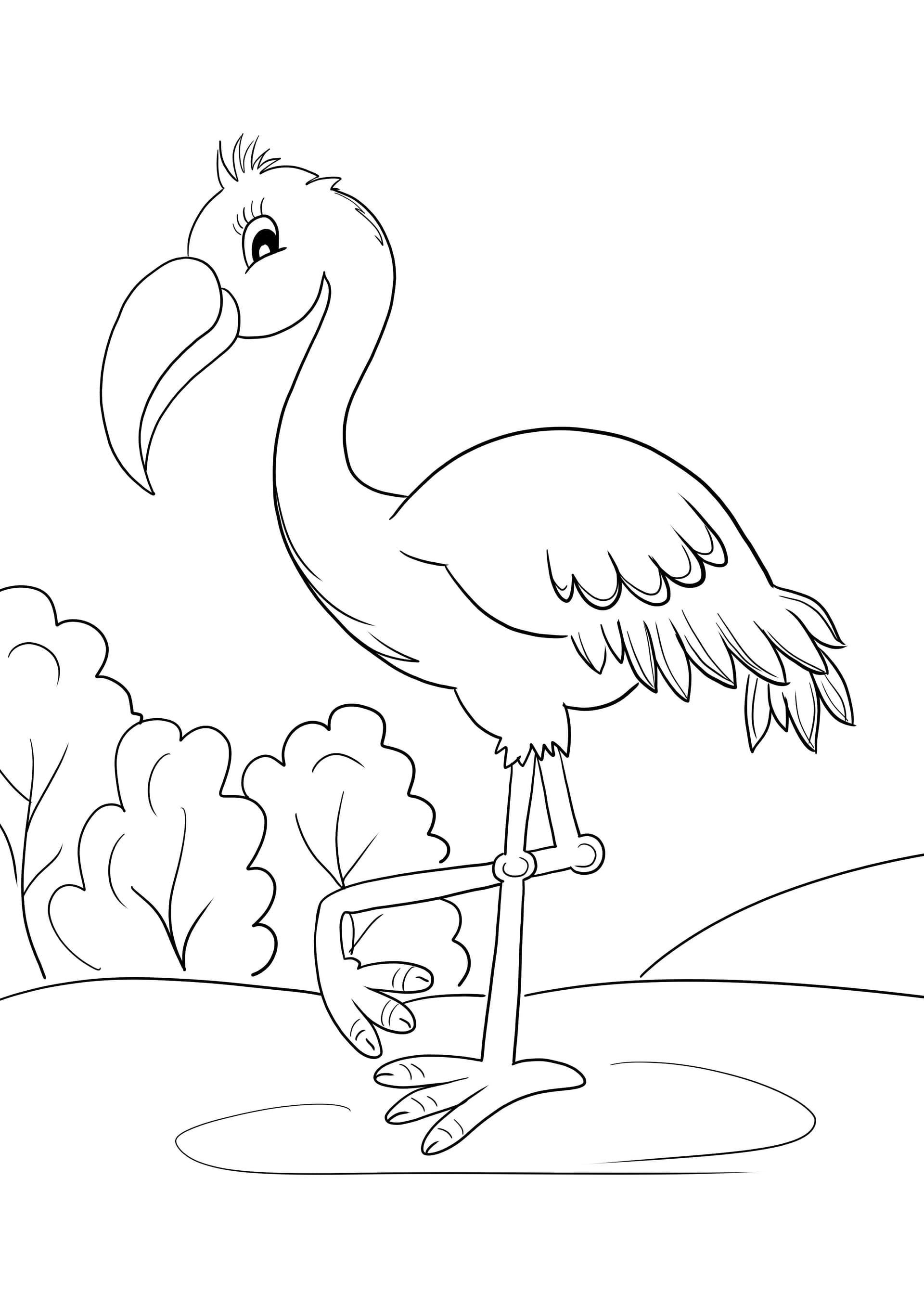 Flamingo