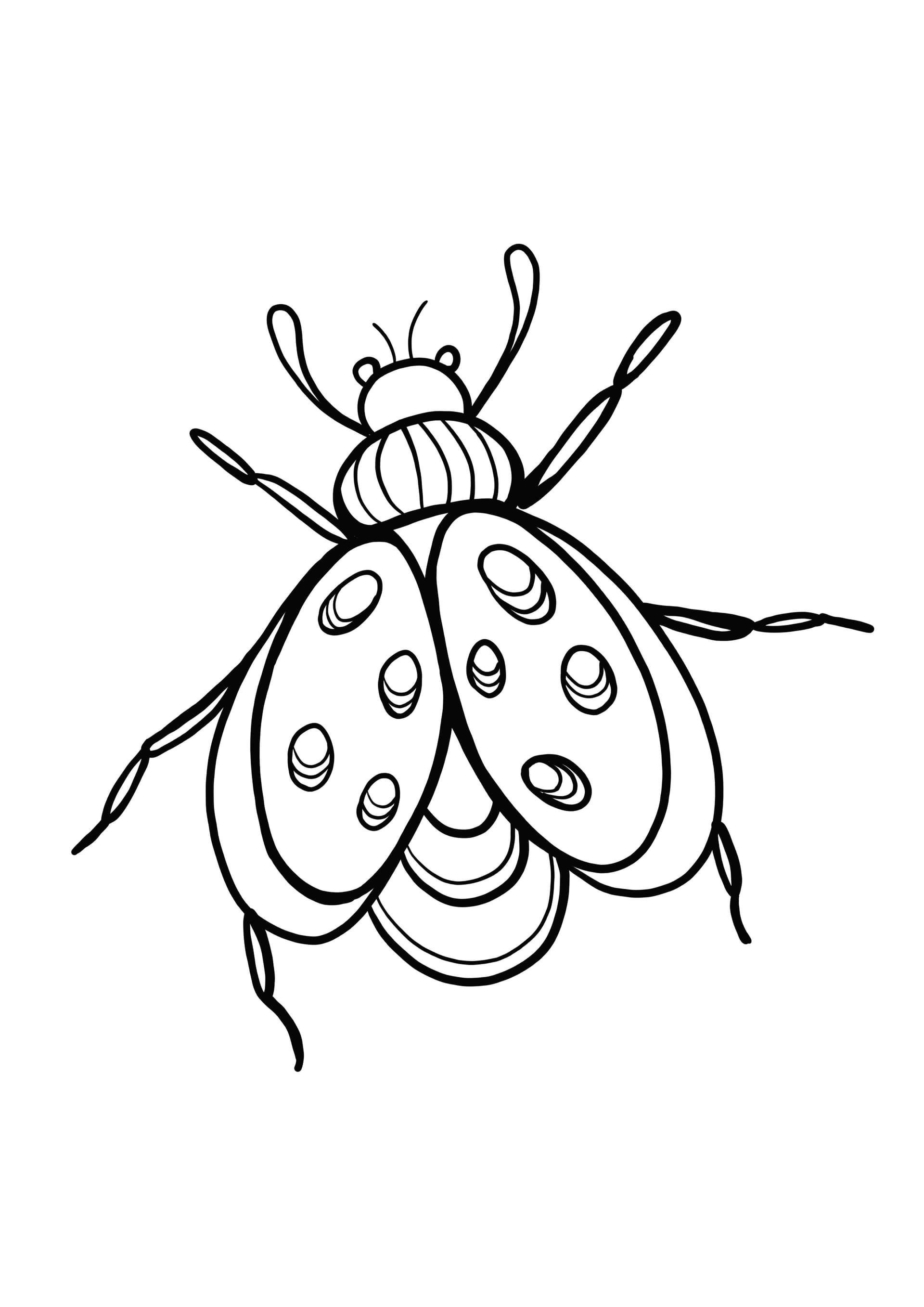 fly