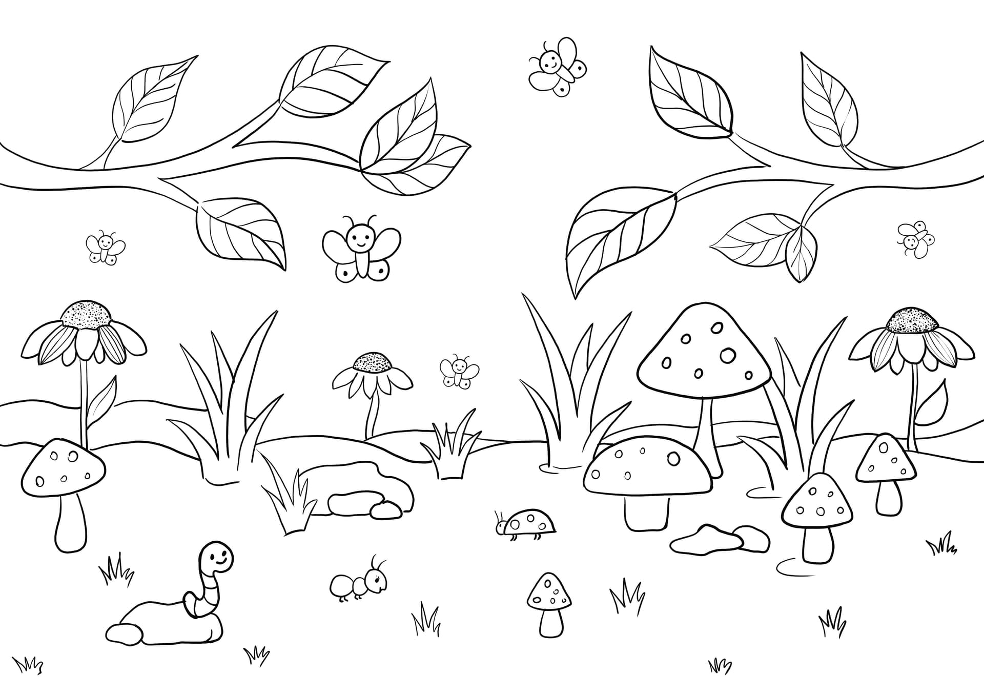 forest in spring
