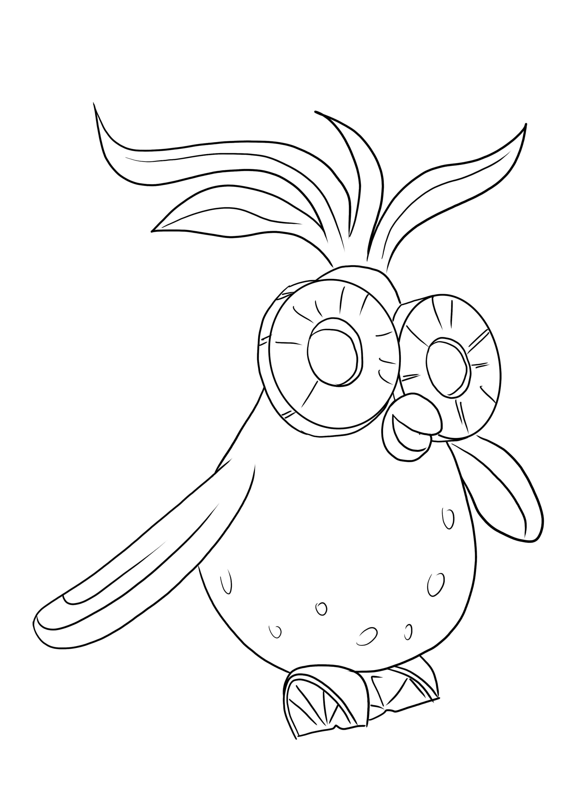 Fruit Cockatiel