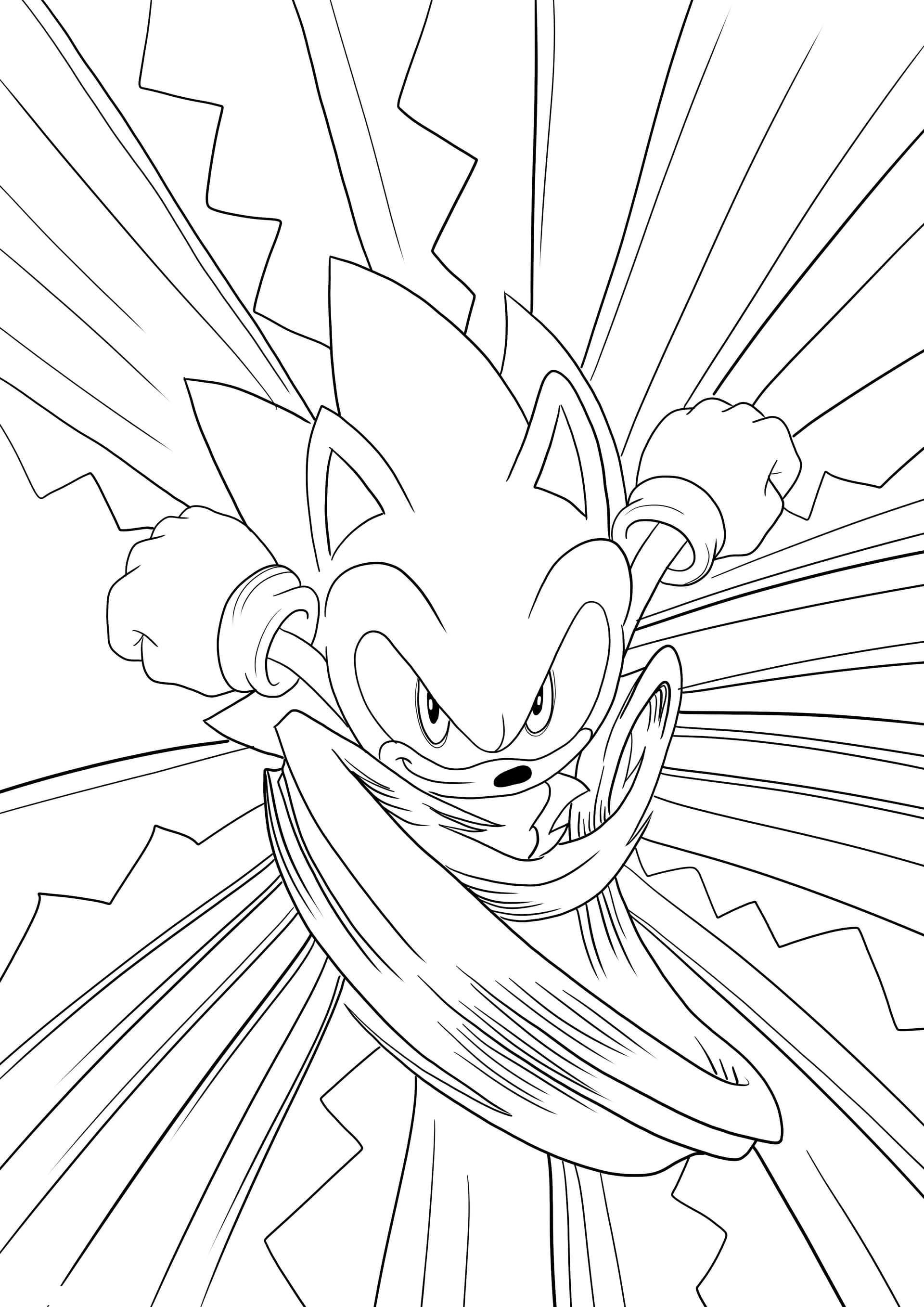 Furious and fast Sonic