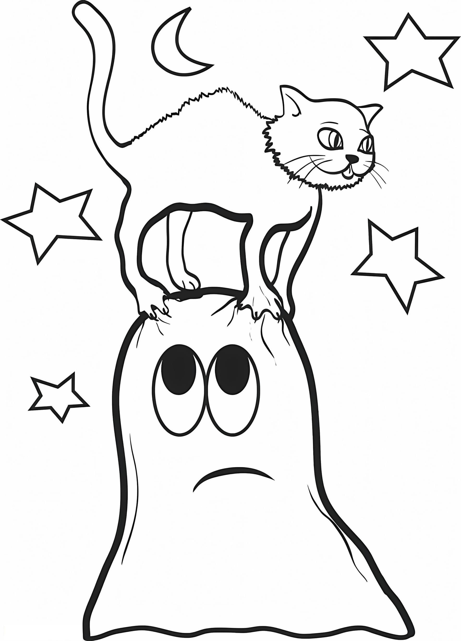 Cat With Ghost
