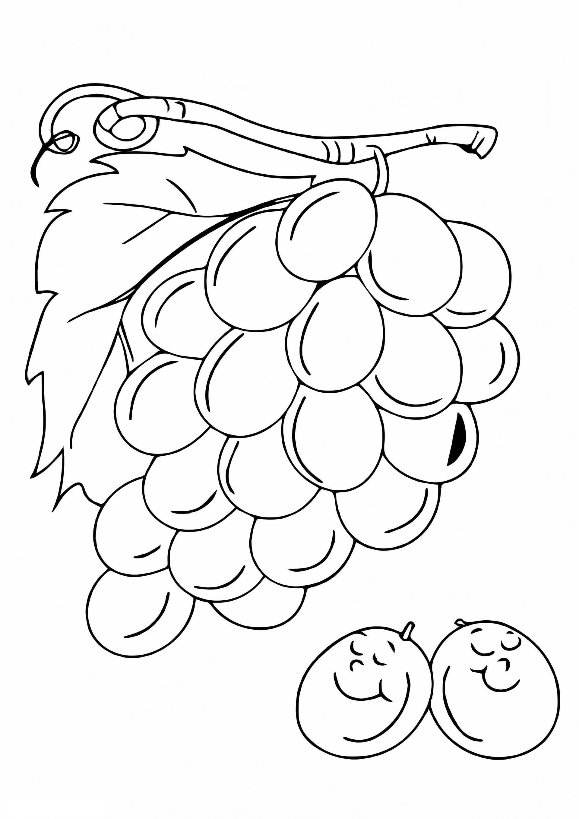 Free Grape Graphics