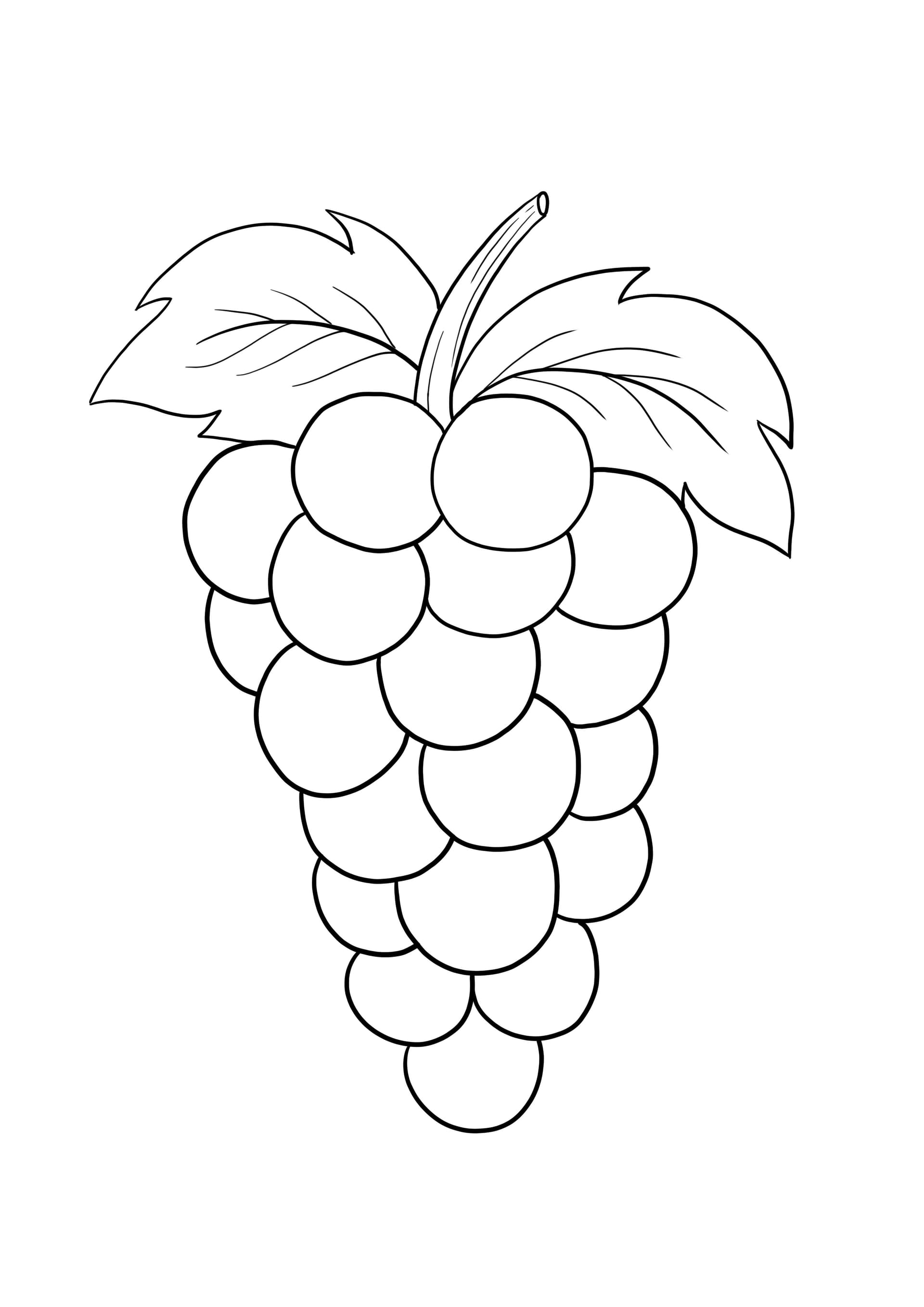 Grapes
