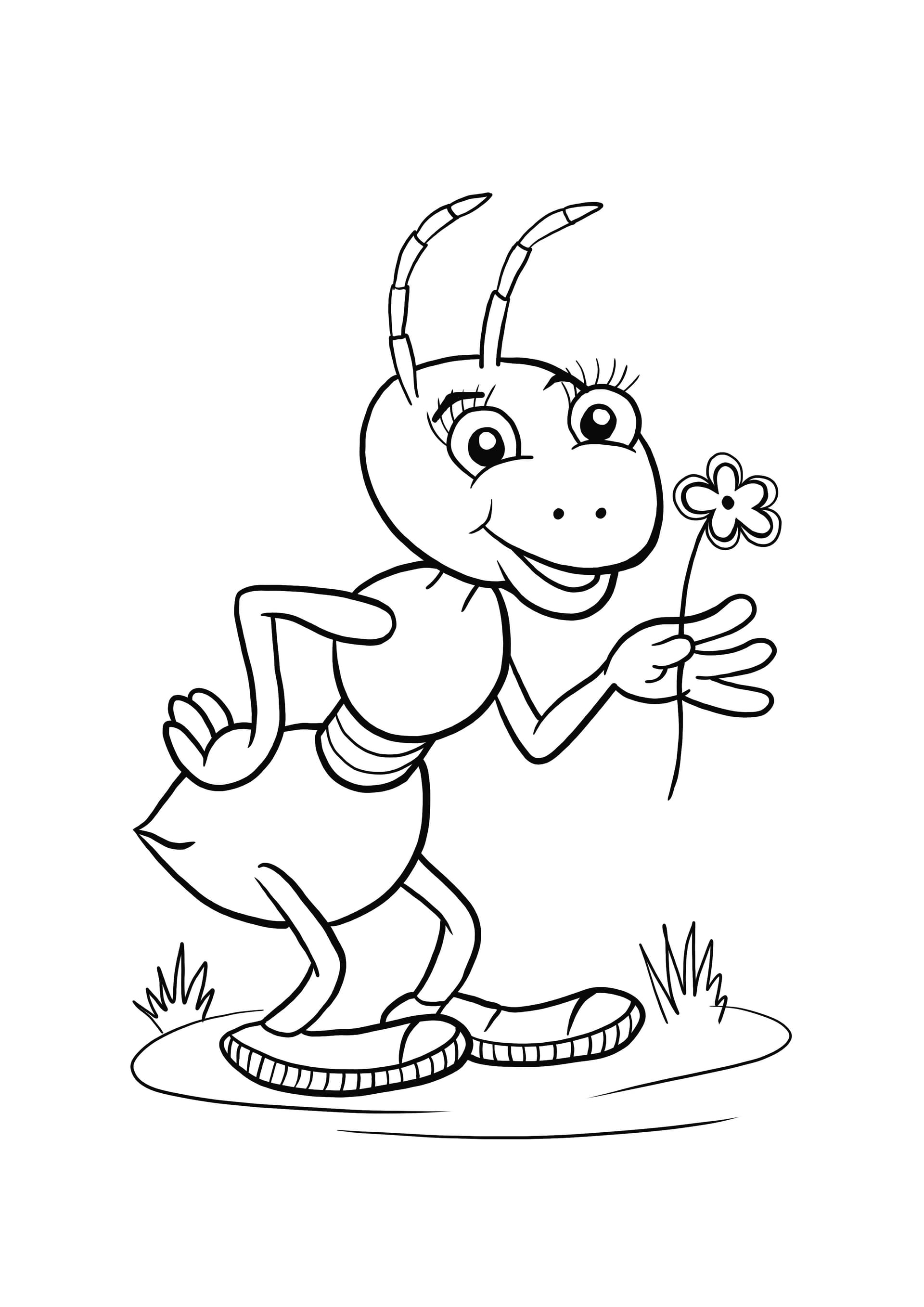 grasshopper