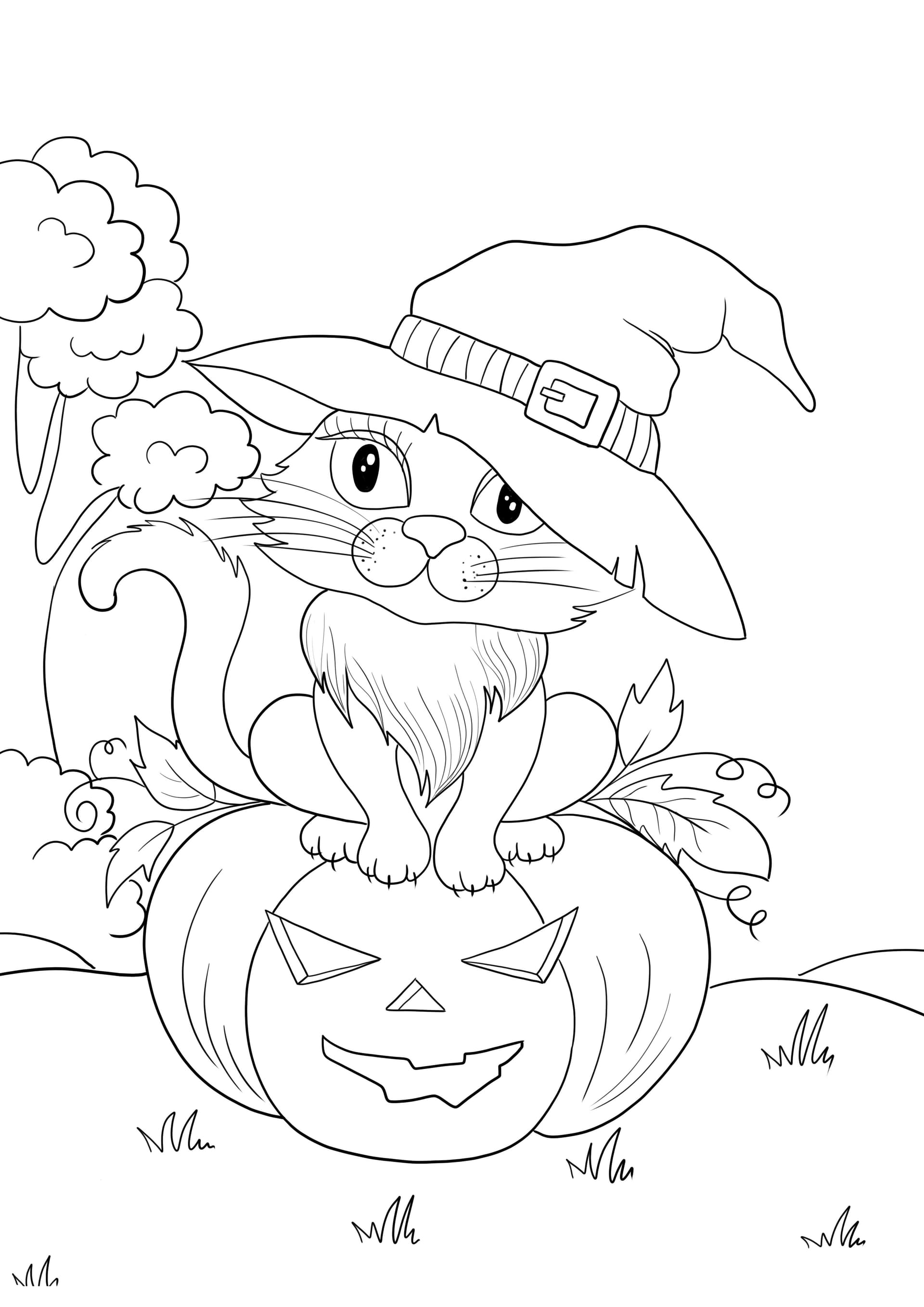 Halloween cat sitting over a pumpkin