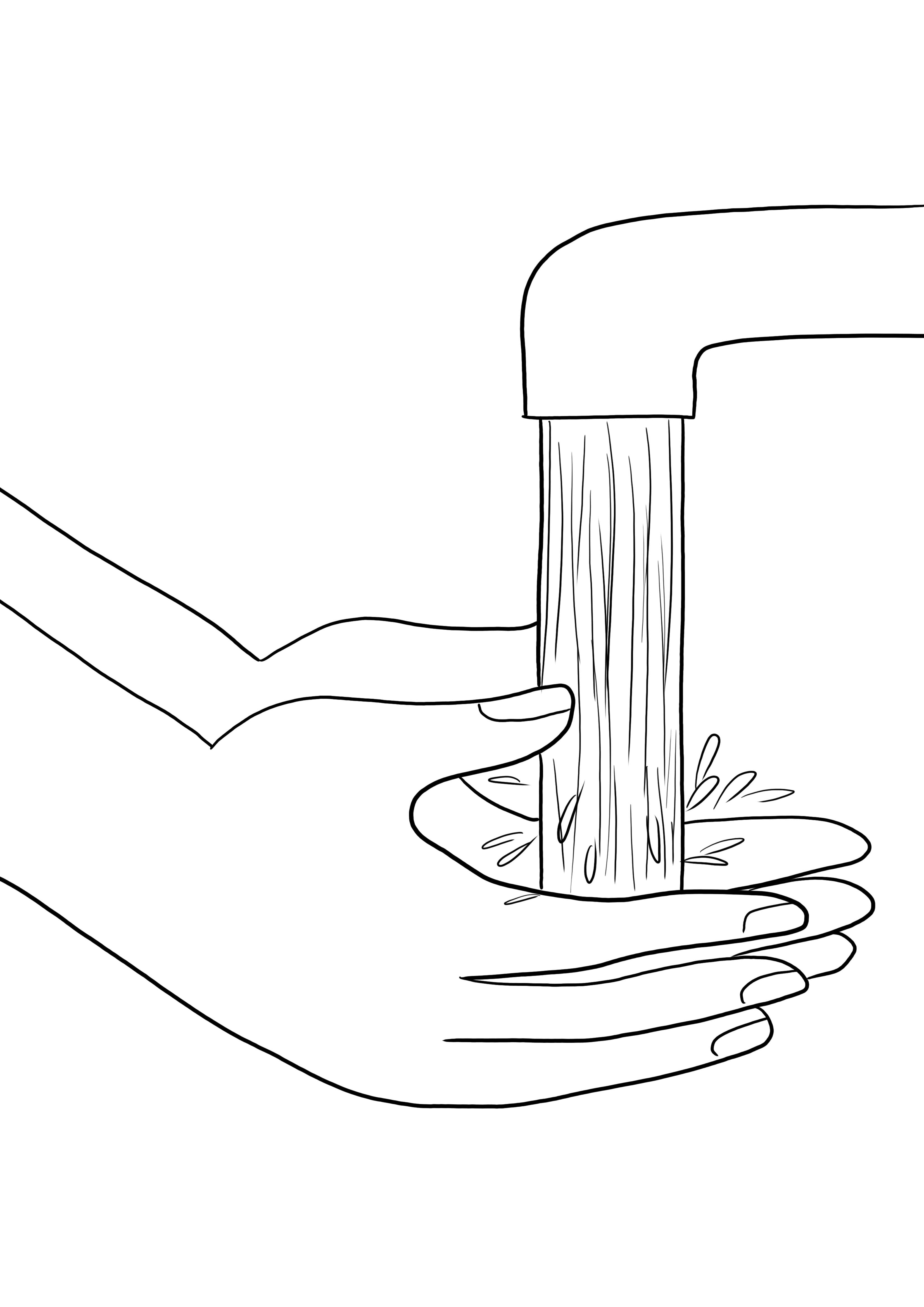 Hand Washing