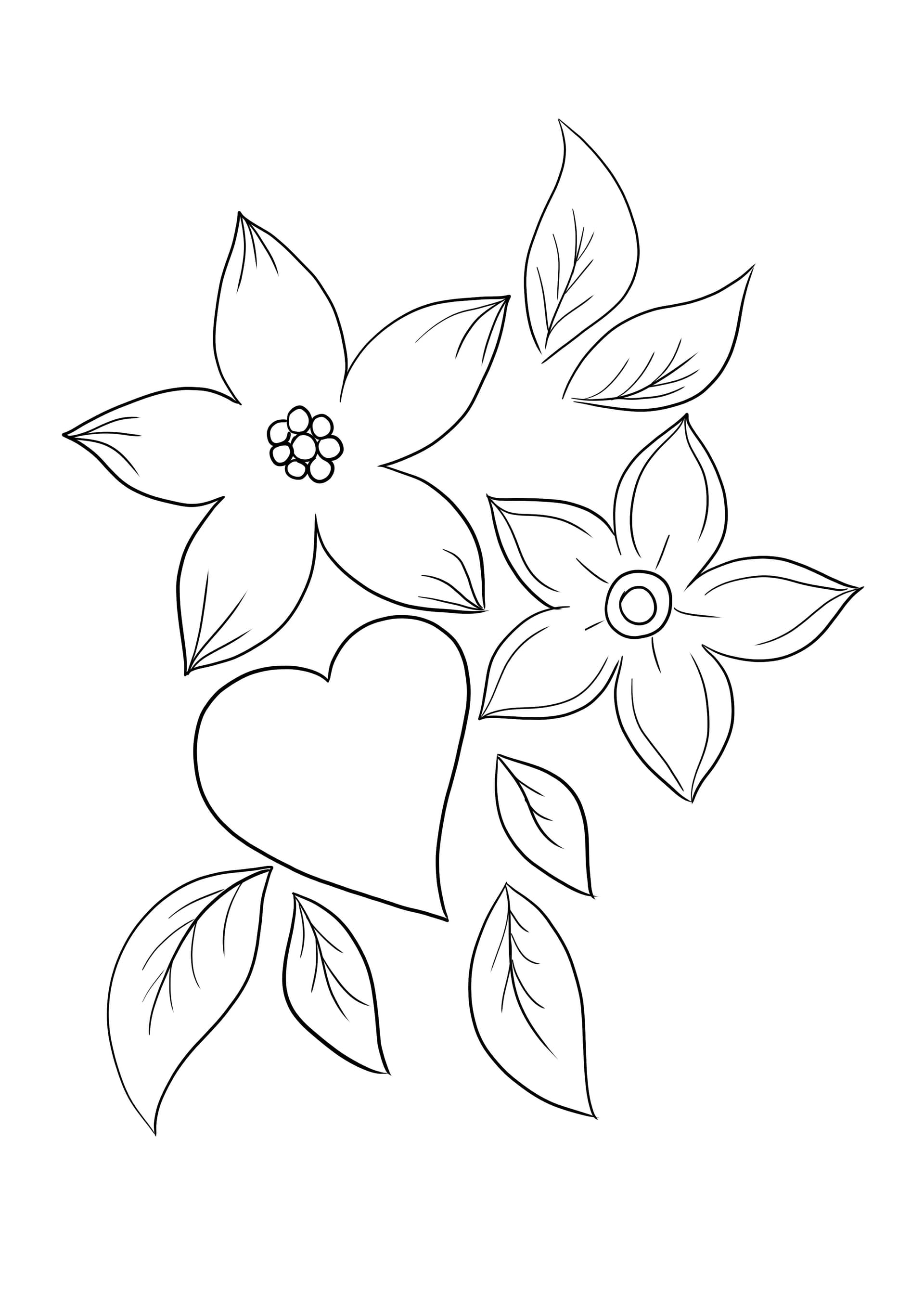 Heart and flowers