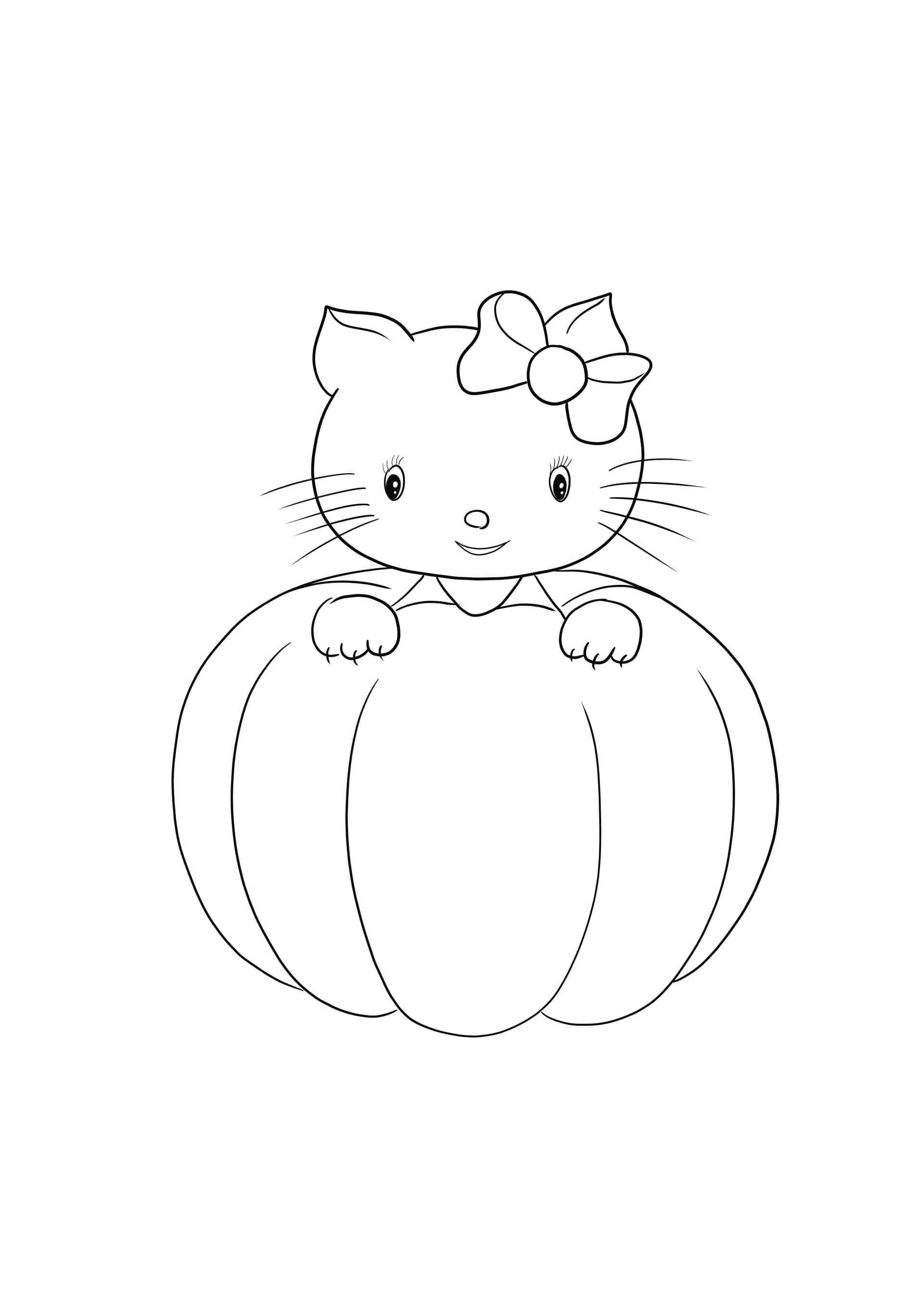 Hello Kitty Halloween