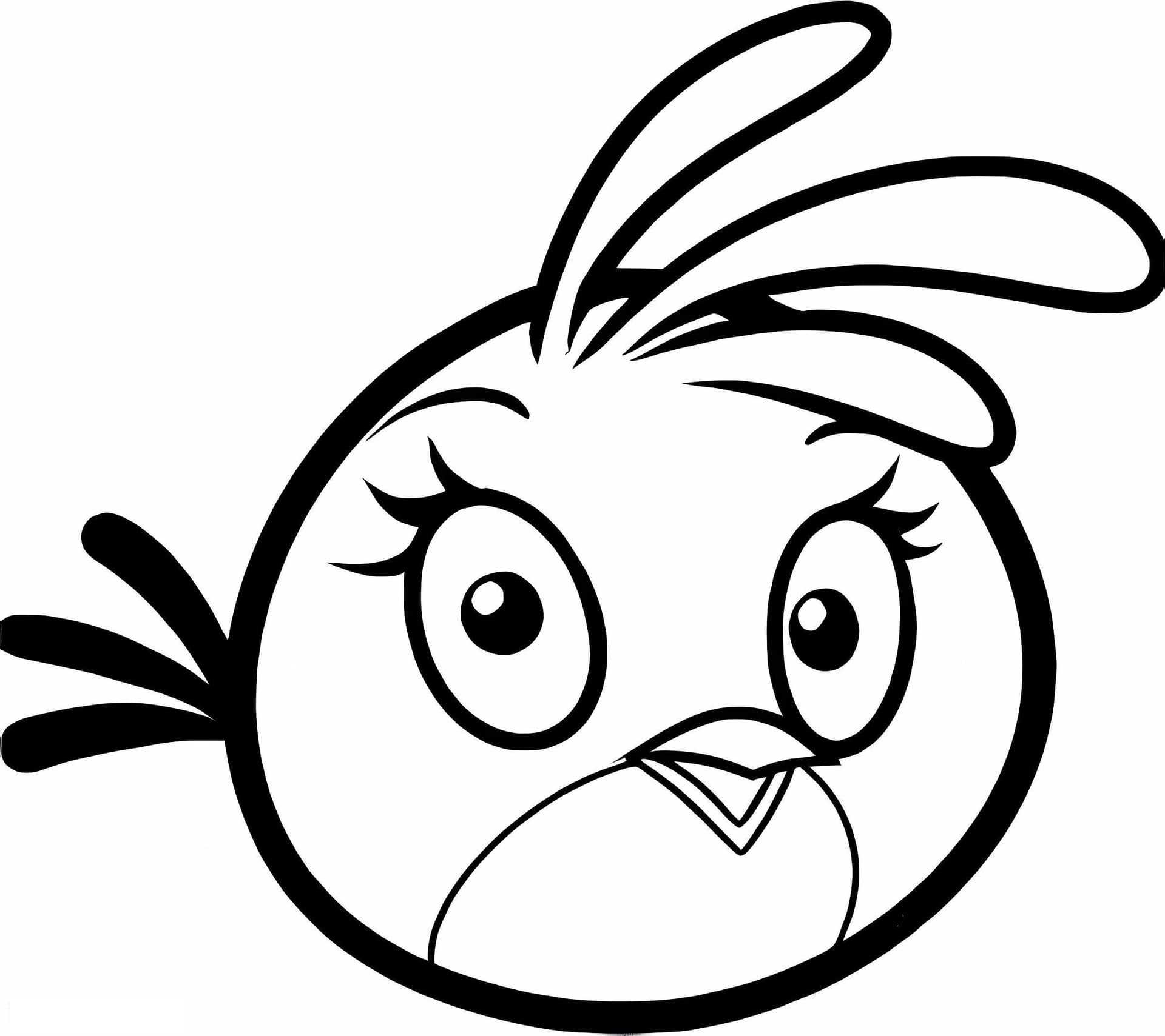 Beautiful Angry Stella Birds