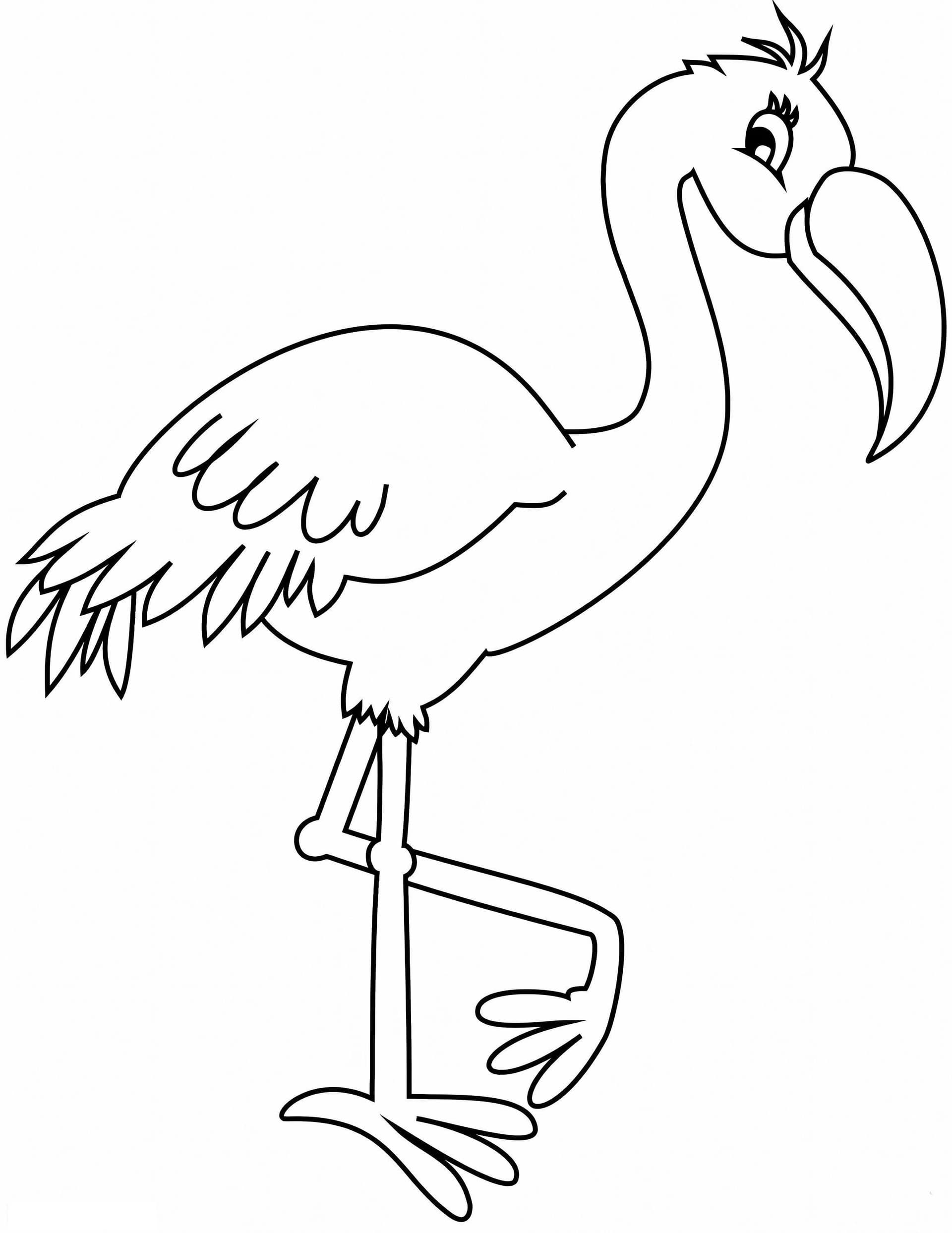 Flamingo Hd Image