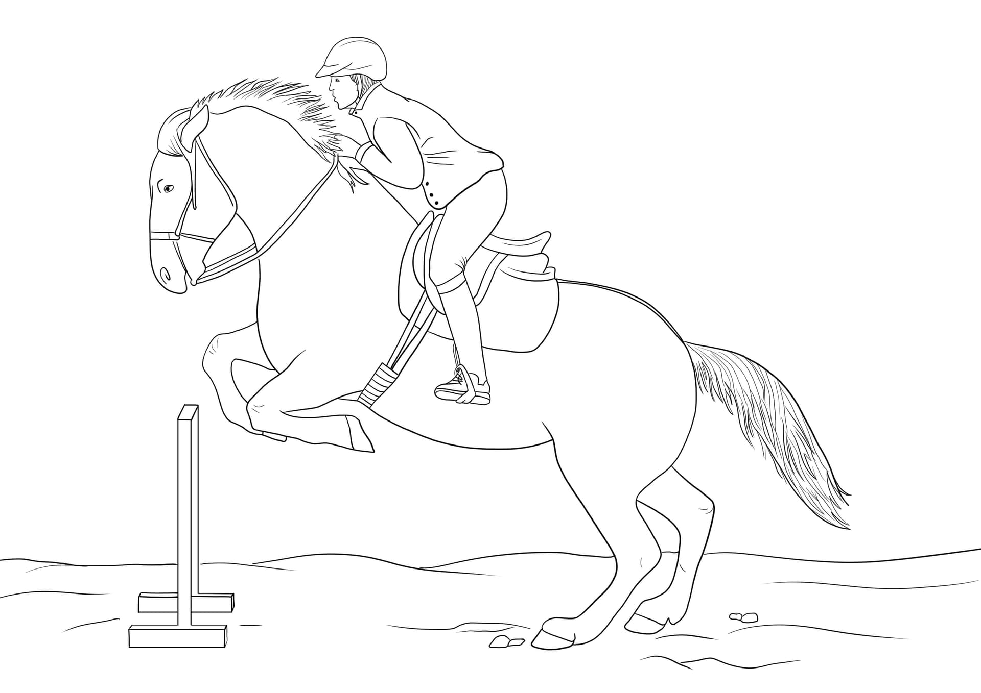 Jumping horse and the rider