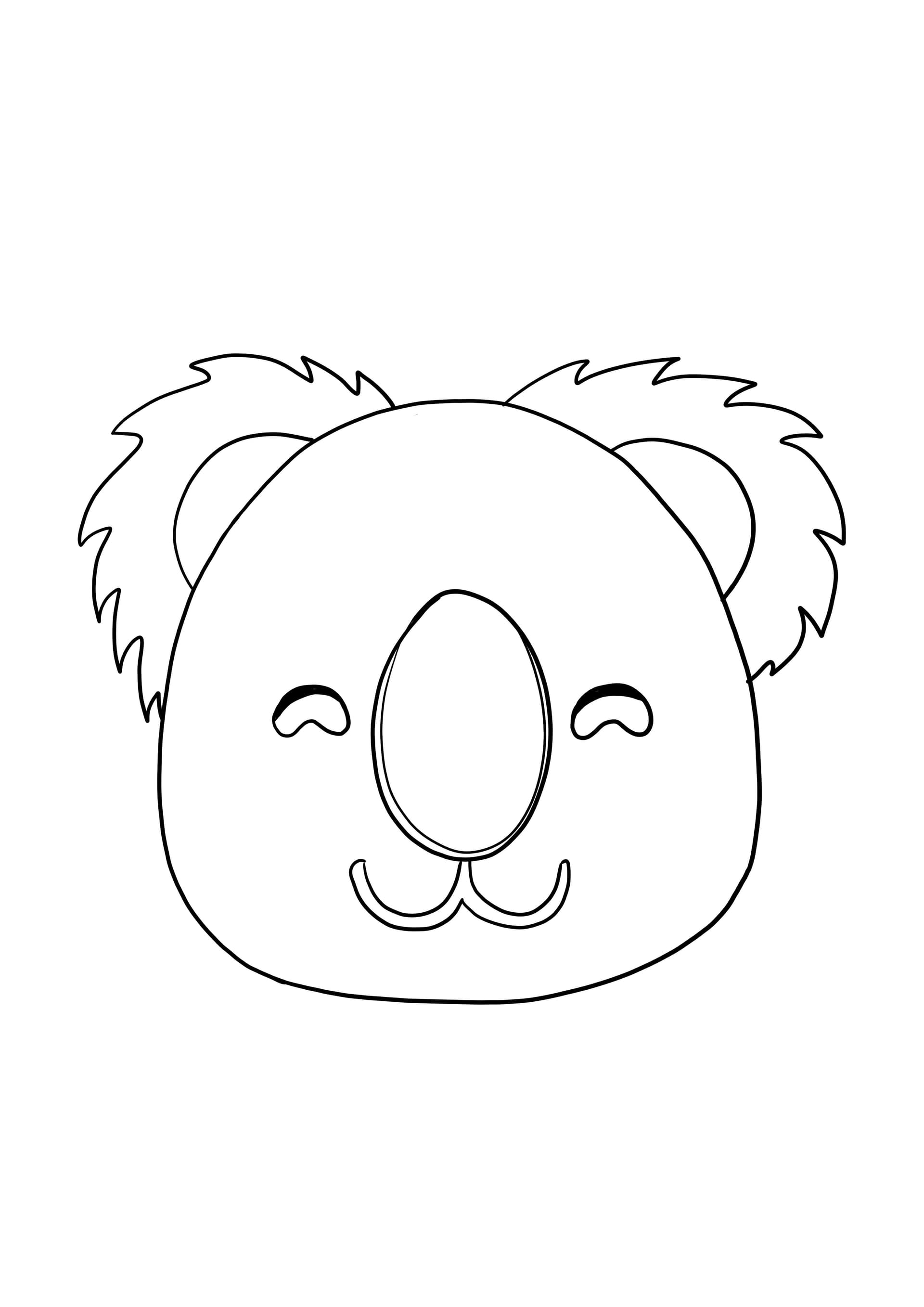 Koala's face