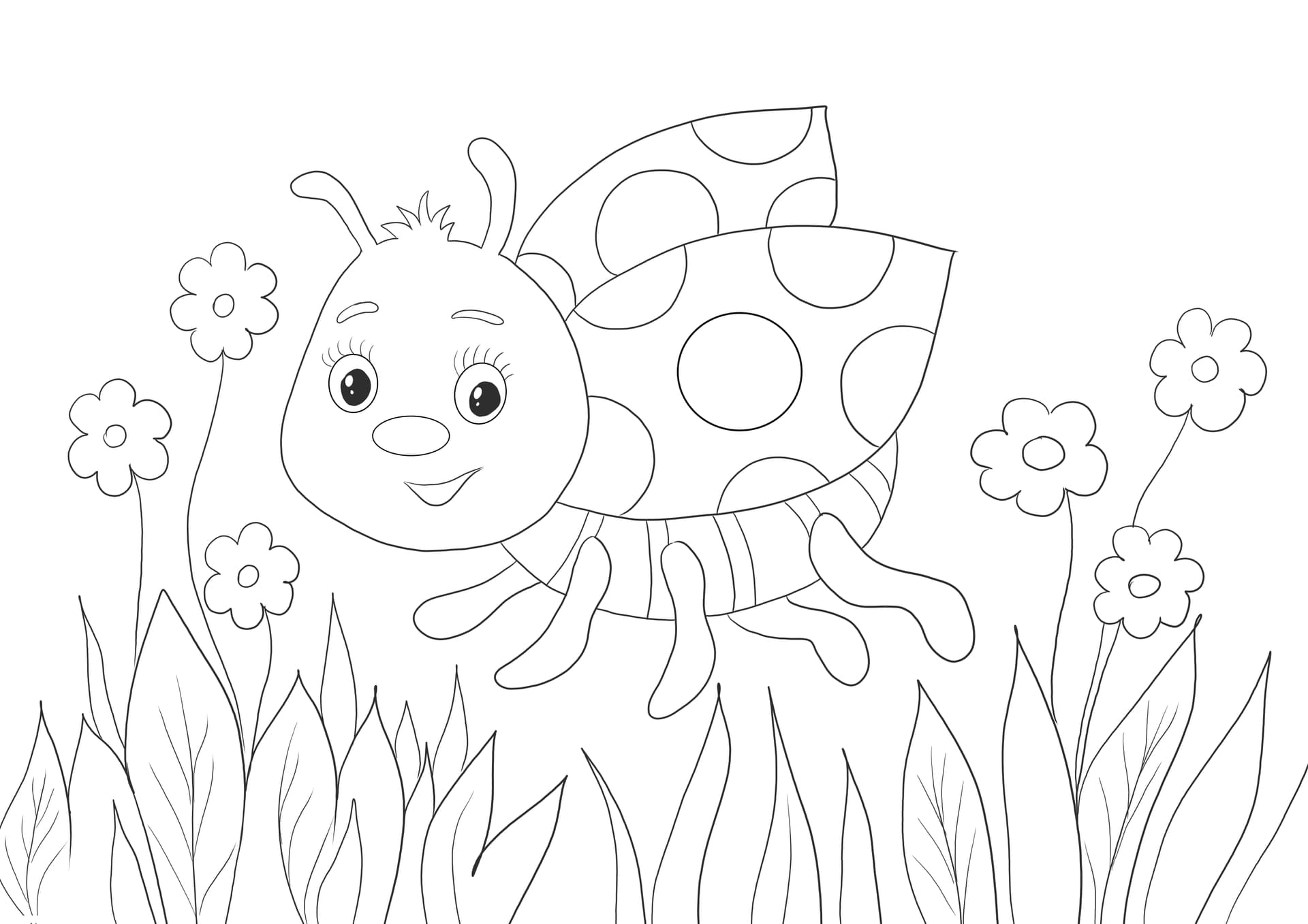 Lady Bug
