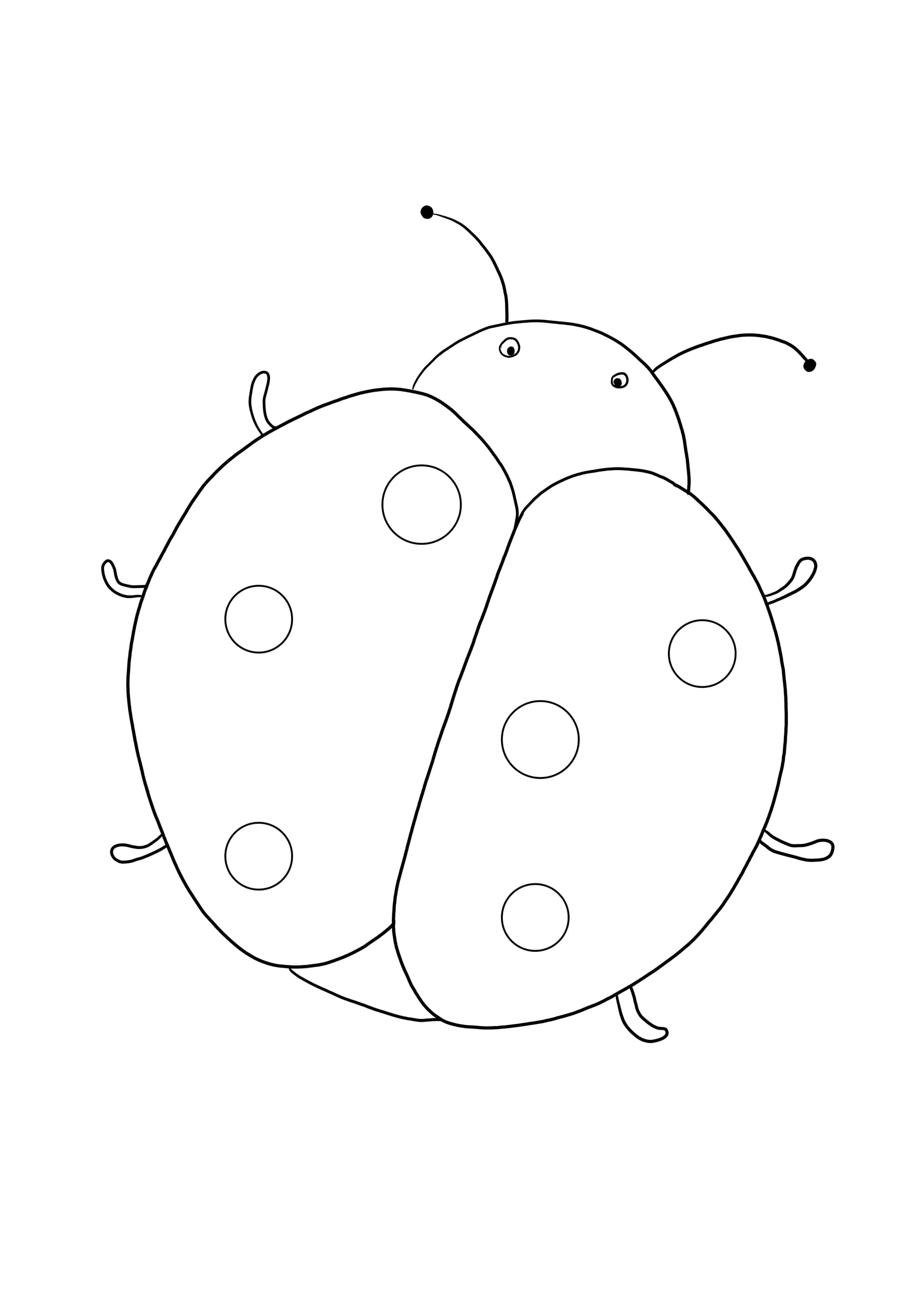 Ladybug