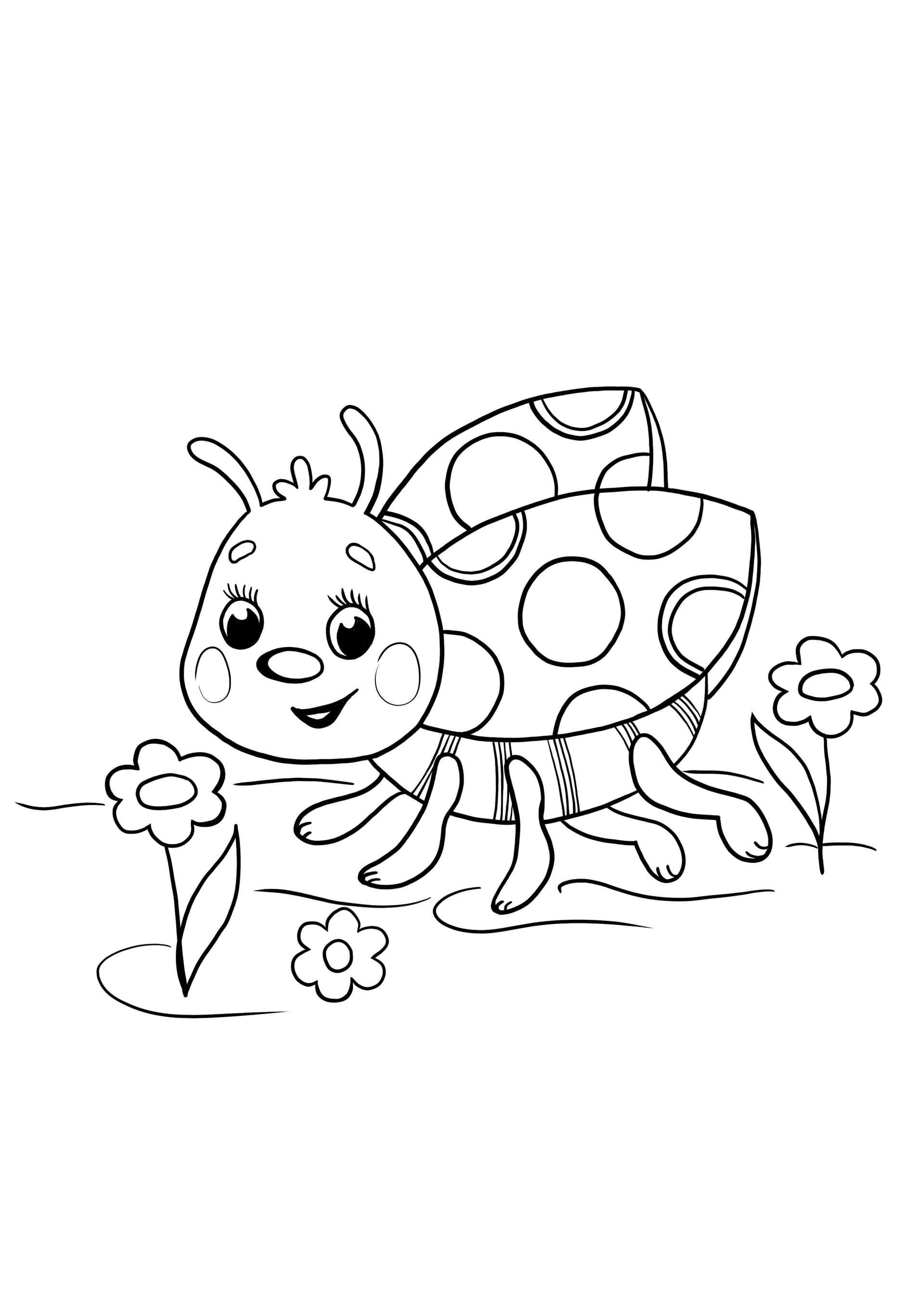 ladybug