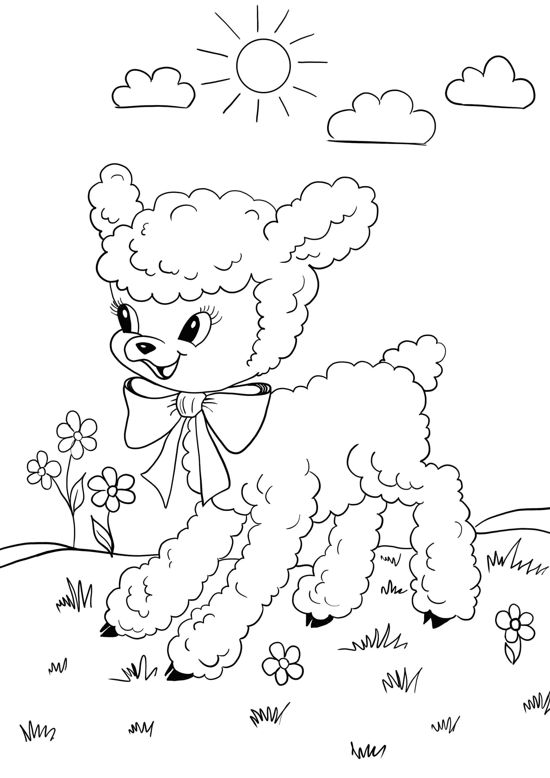 lamb