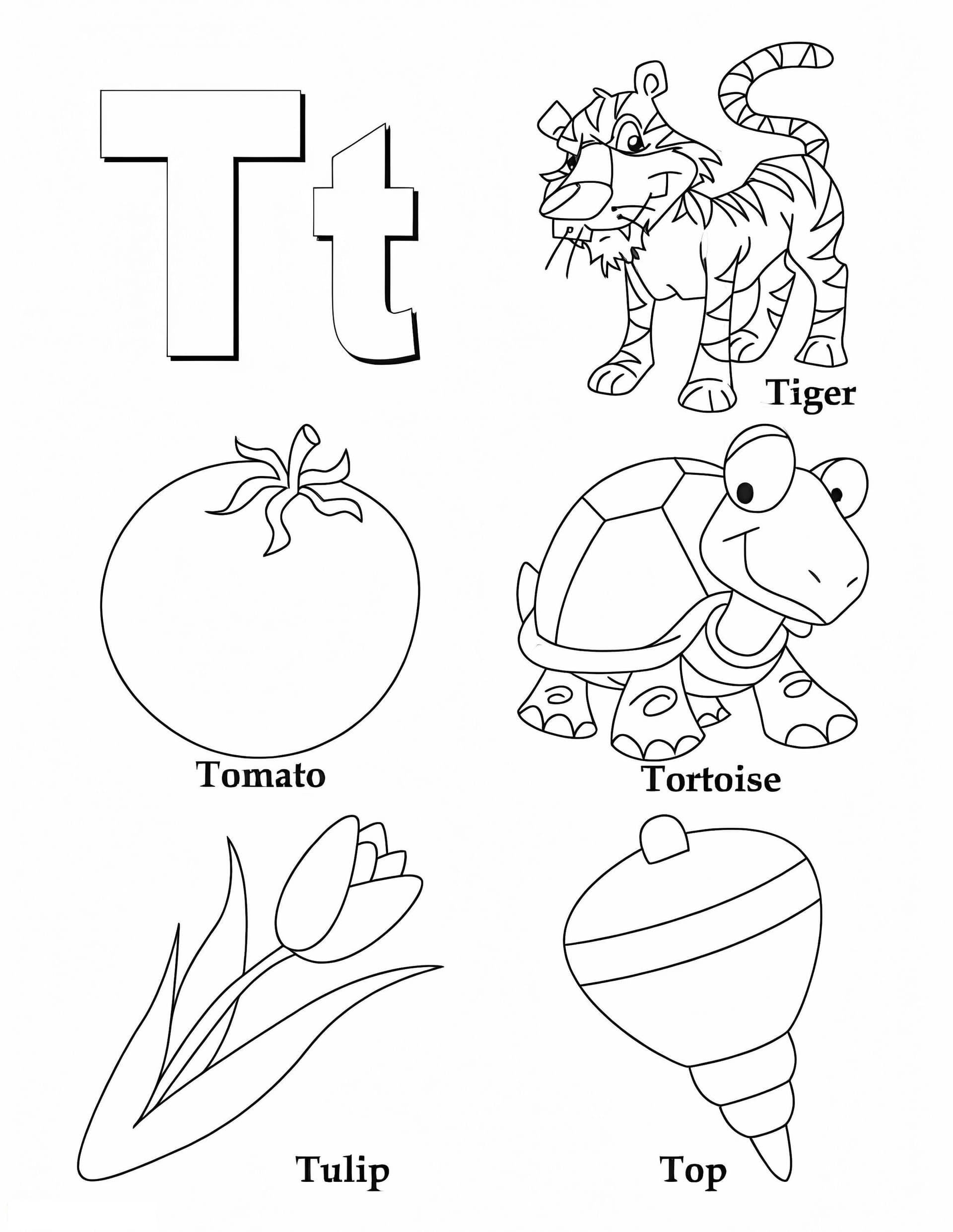 Letter T