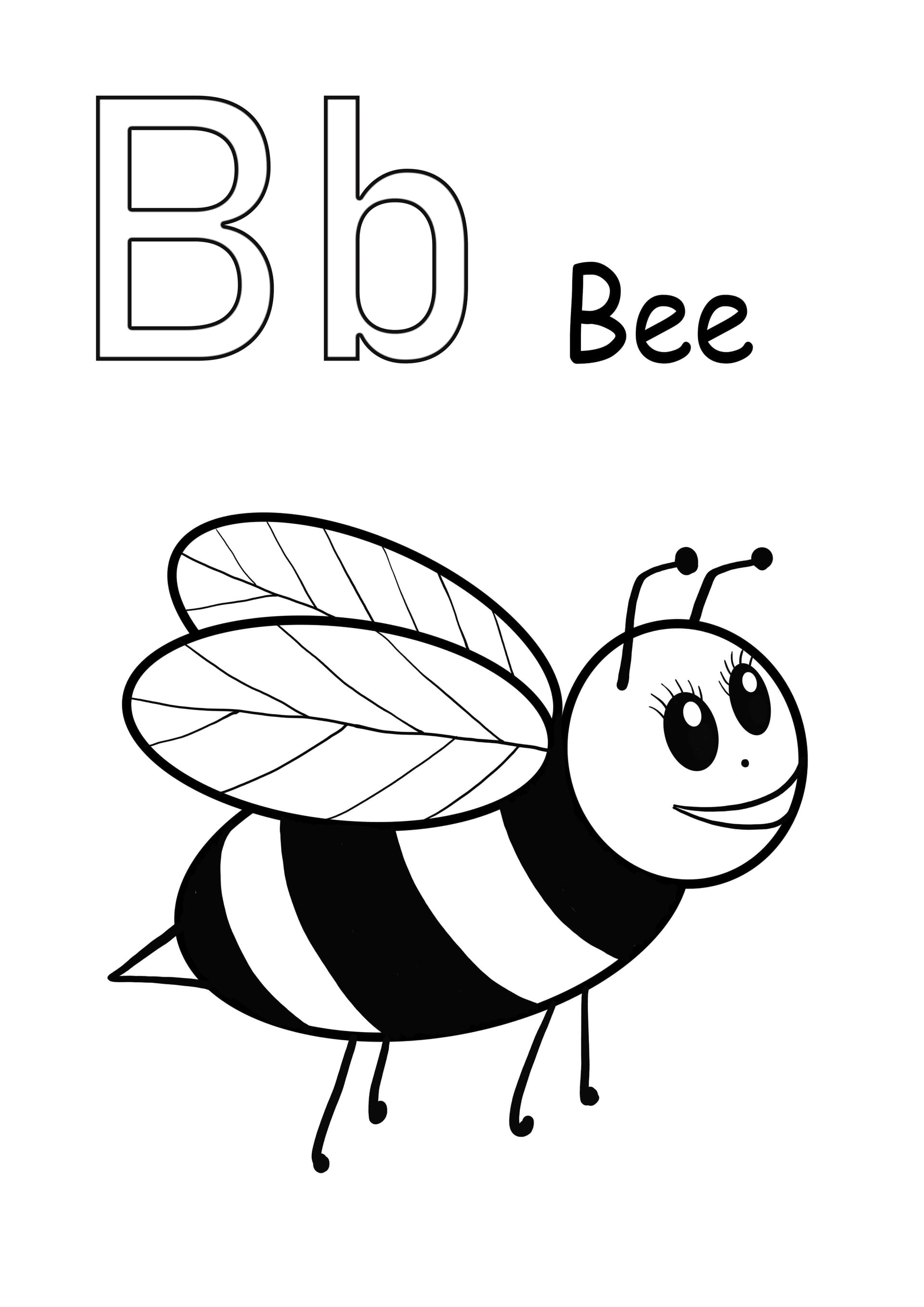 Letter B is for bee
