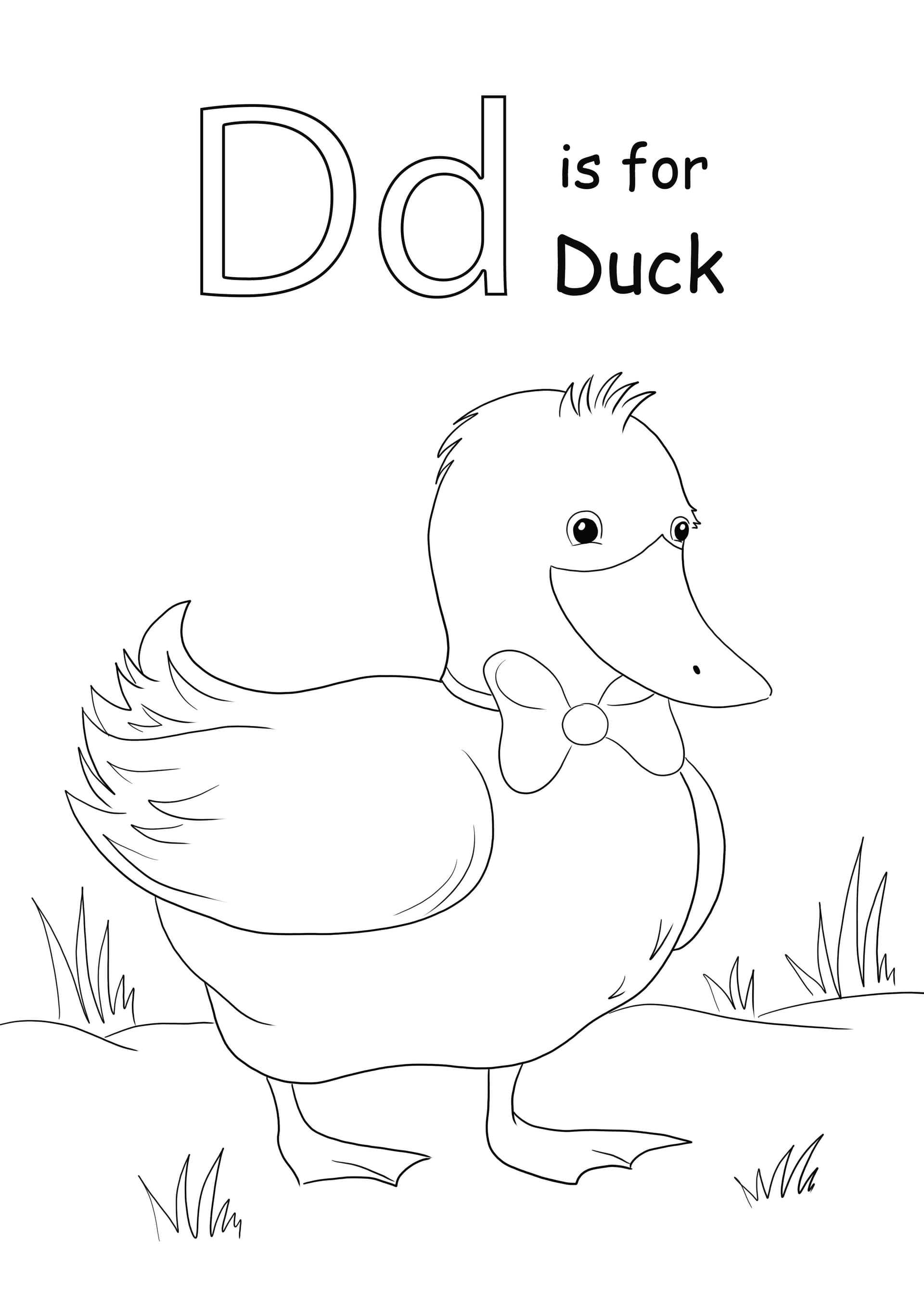 Letter D is for Duck
