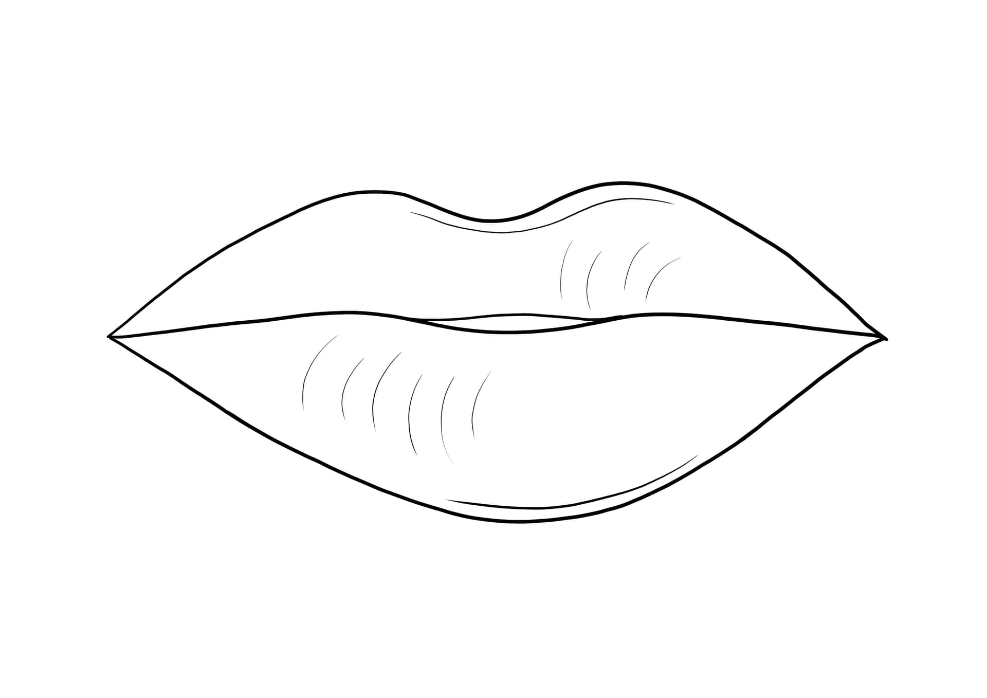 Lips