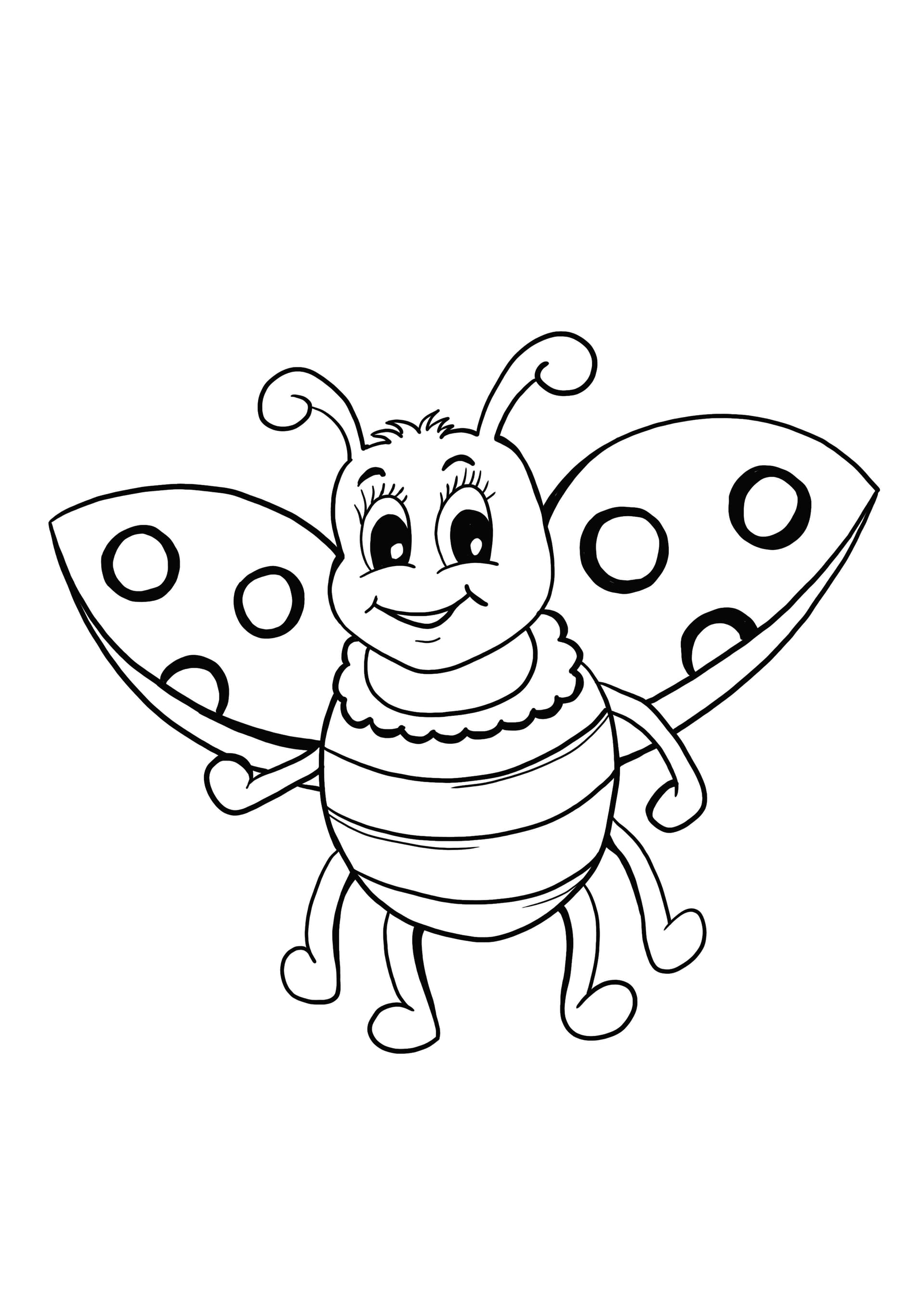 little ladybug