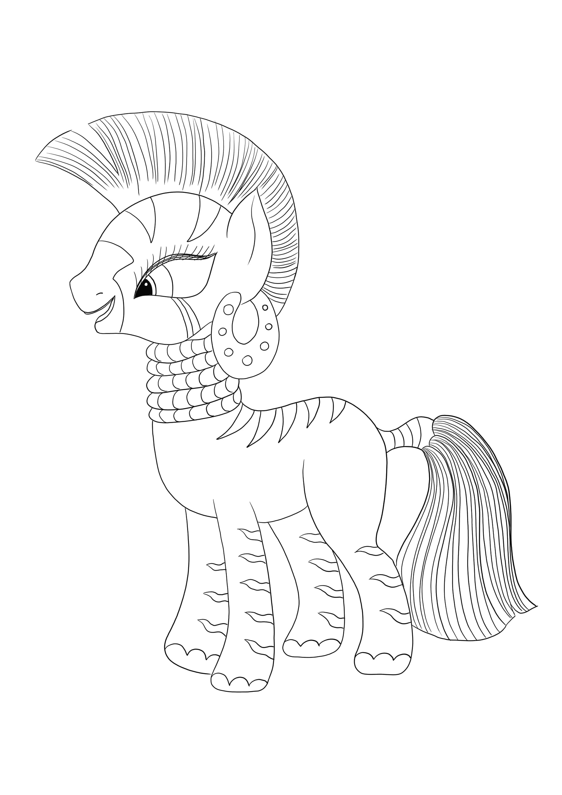 Little zebra