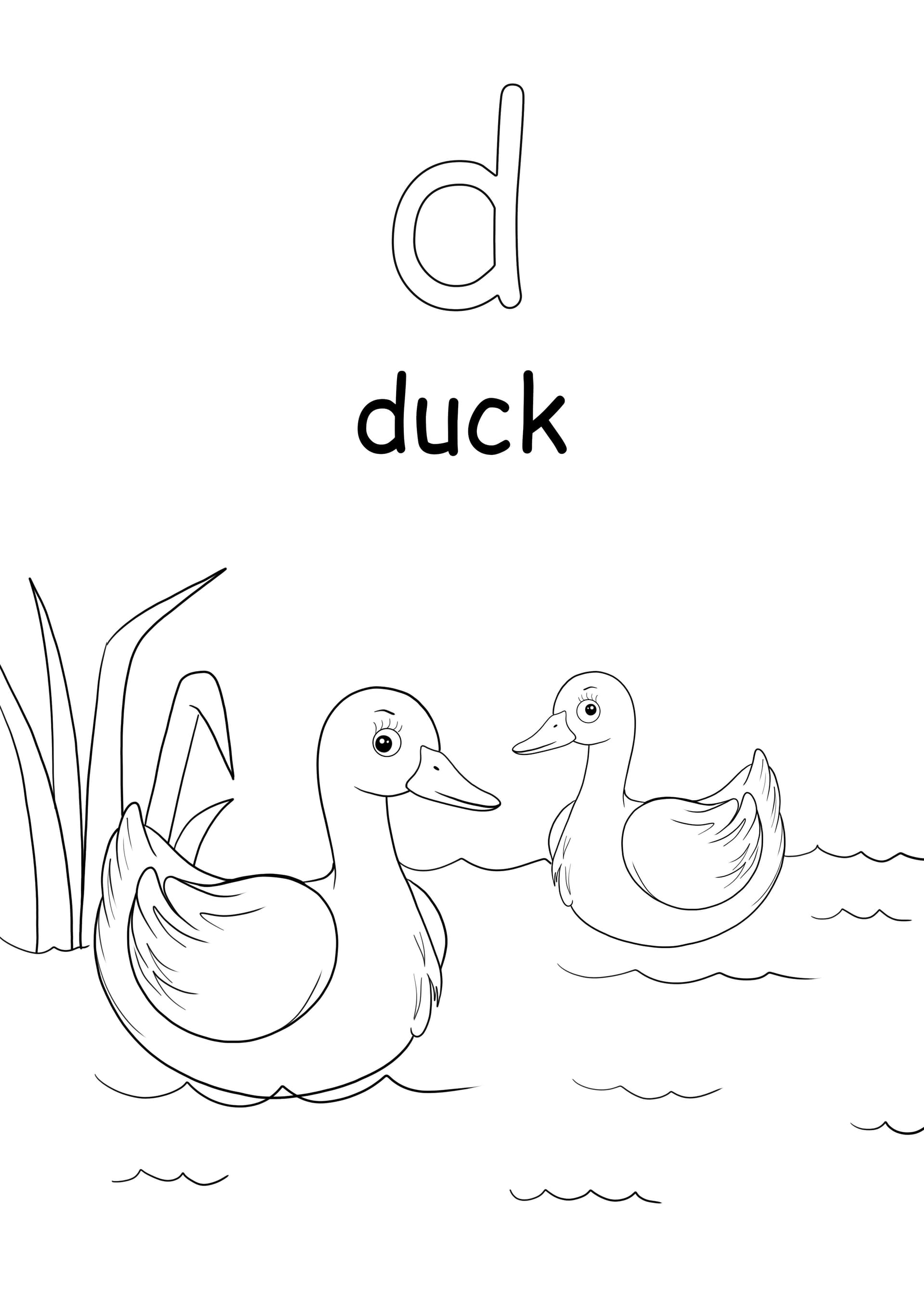 Lowercase d letter