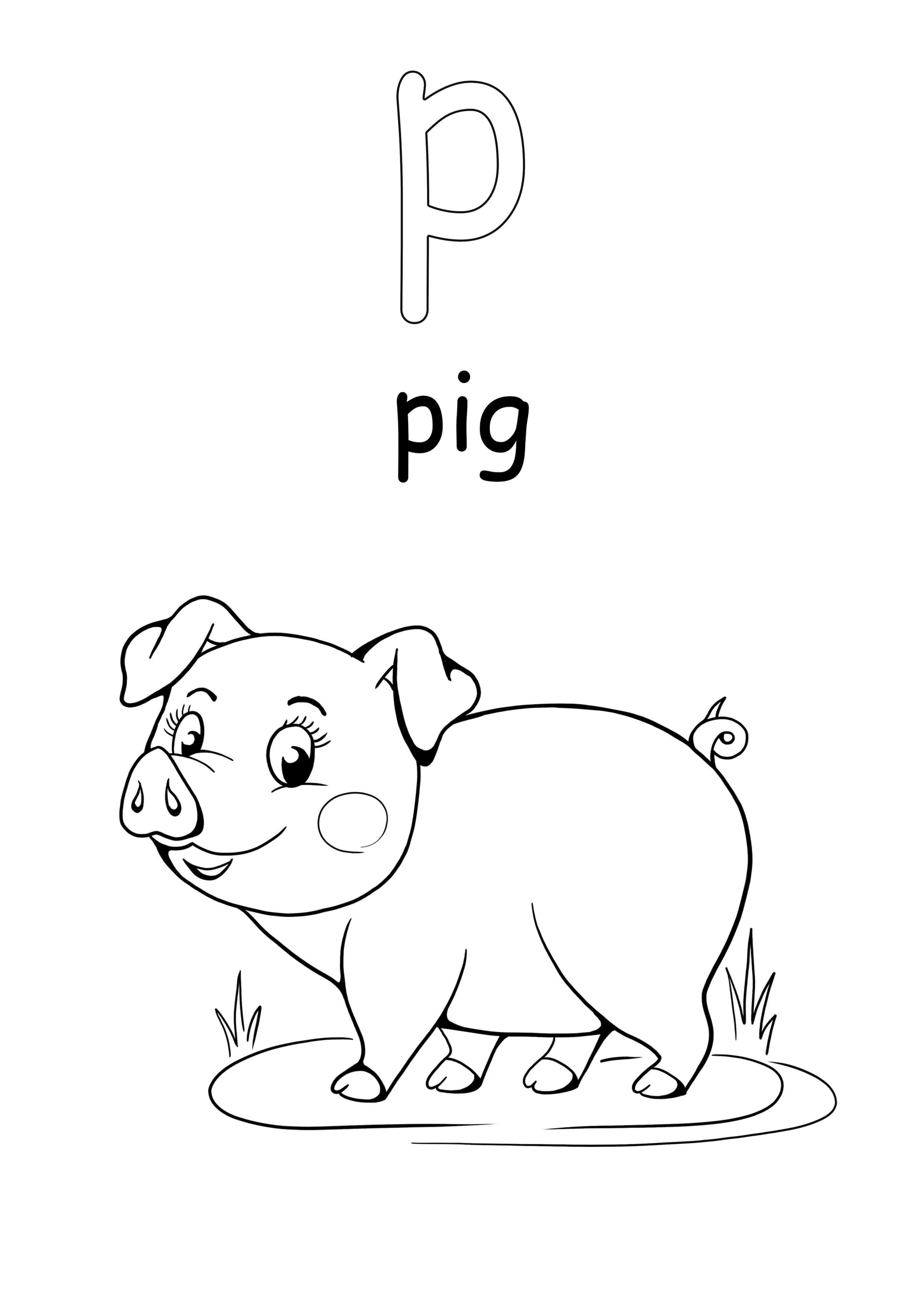 Lowercase letter p