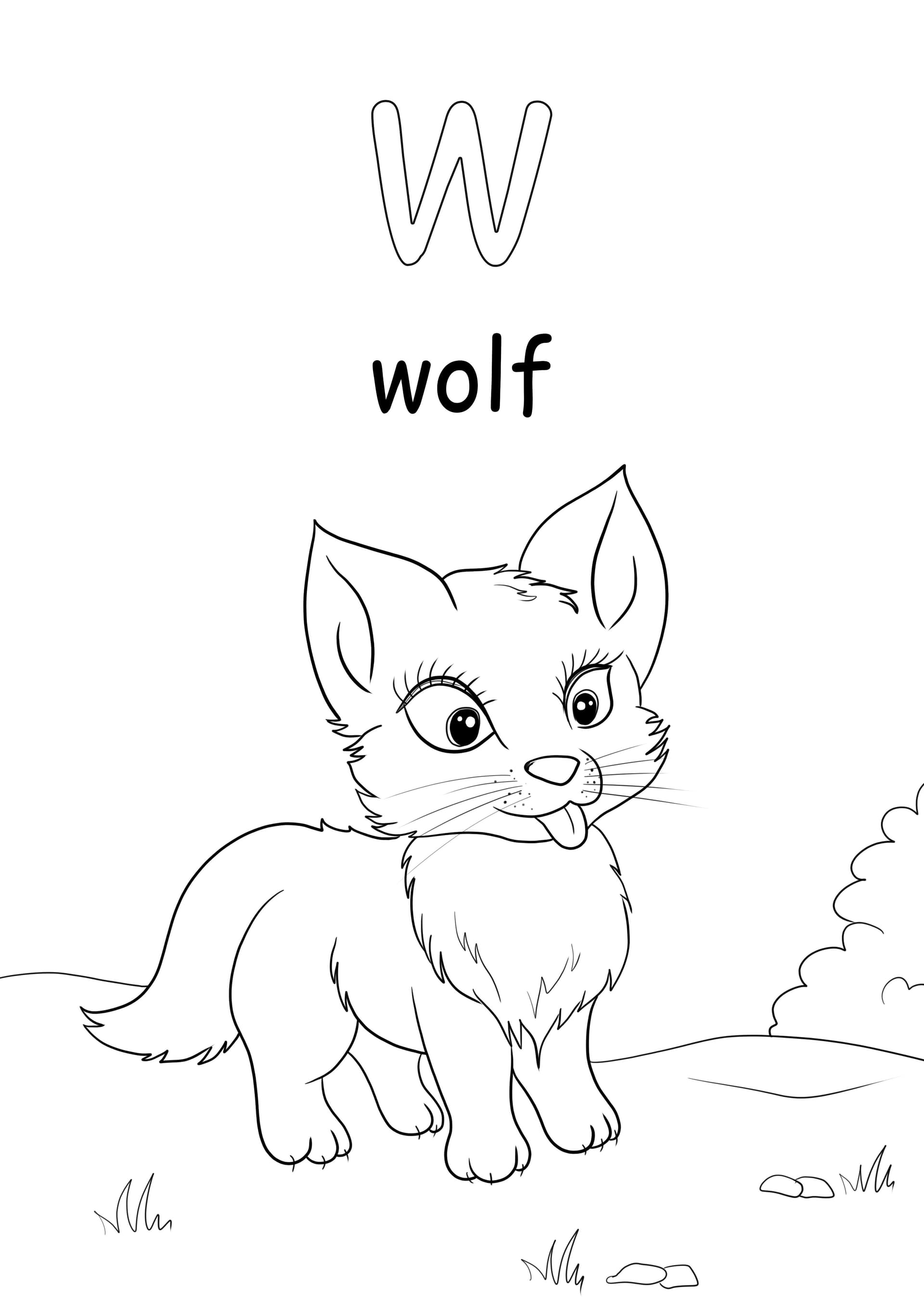 Lower case w