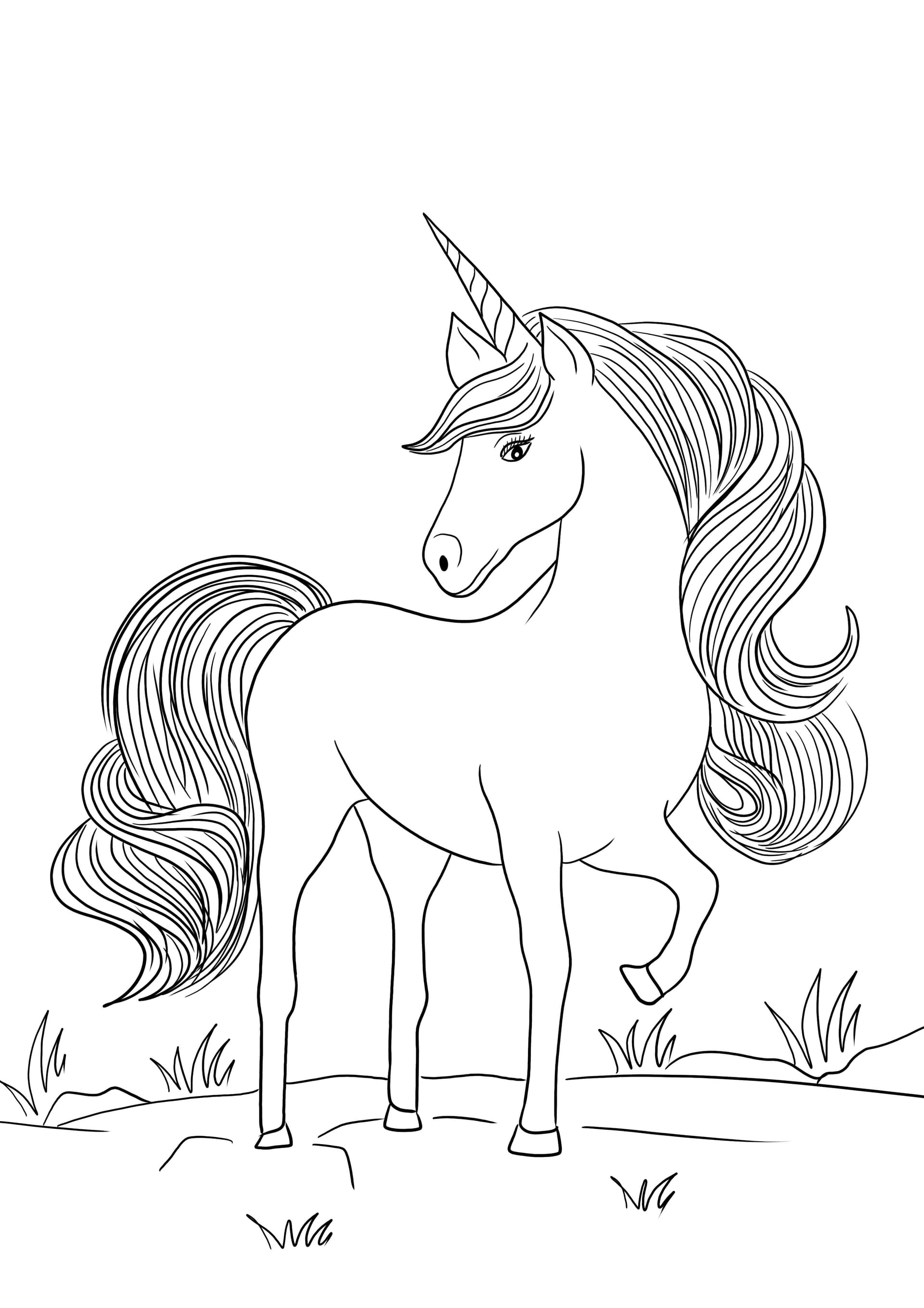Majestic Unicorn