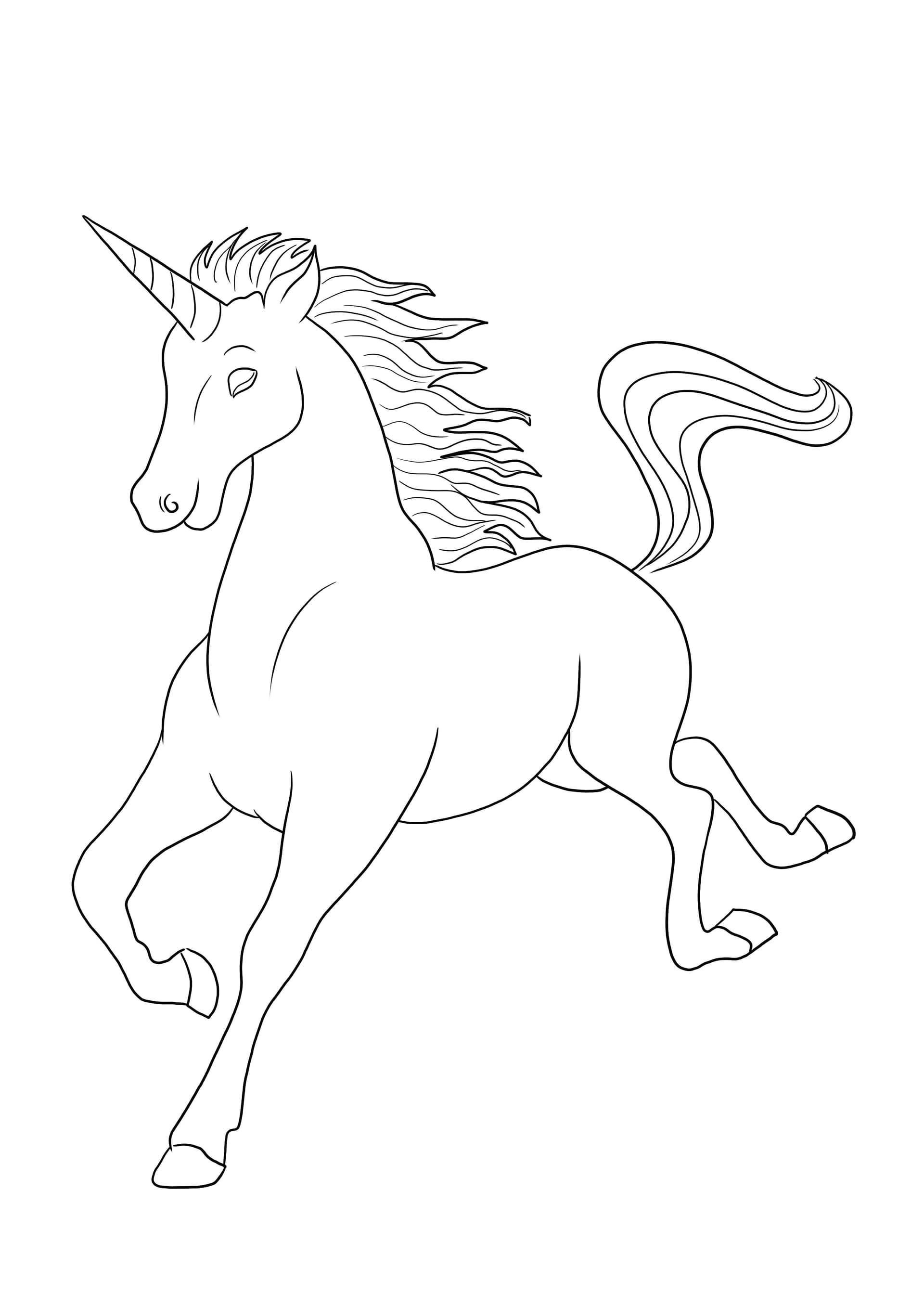 Male Unicorn