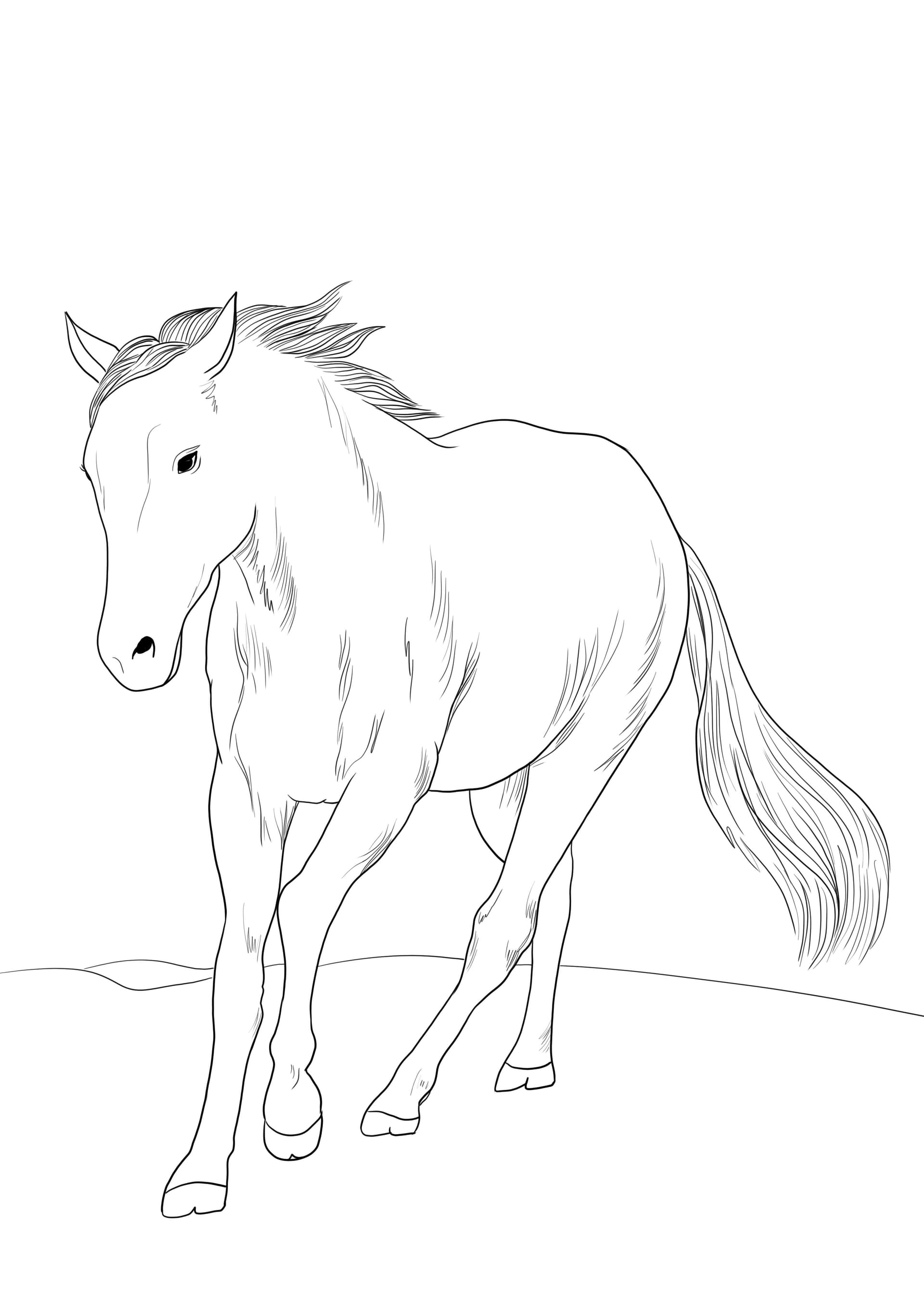 Mare galloping