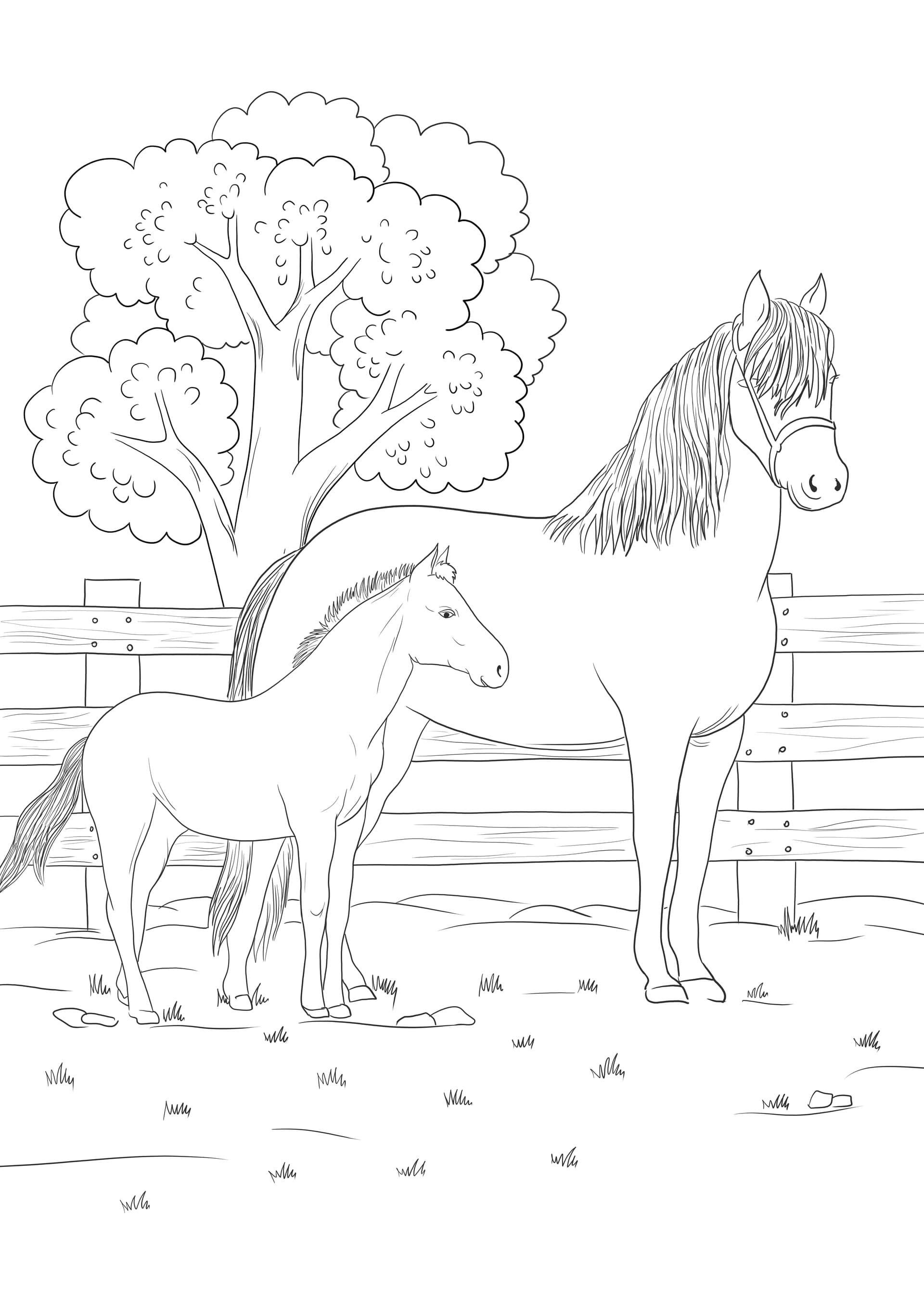 Mare and colt