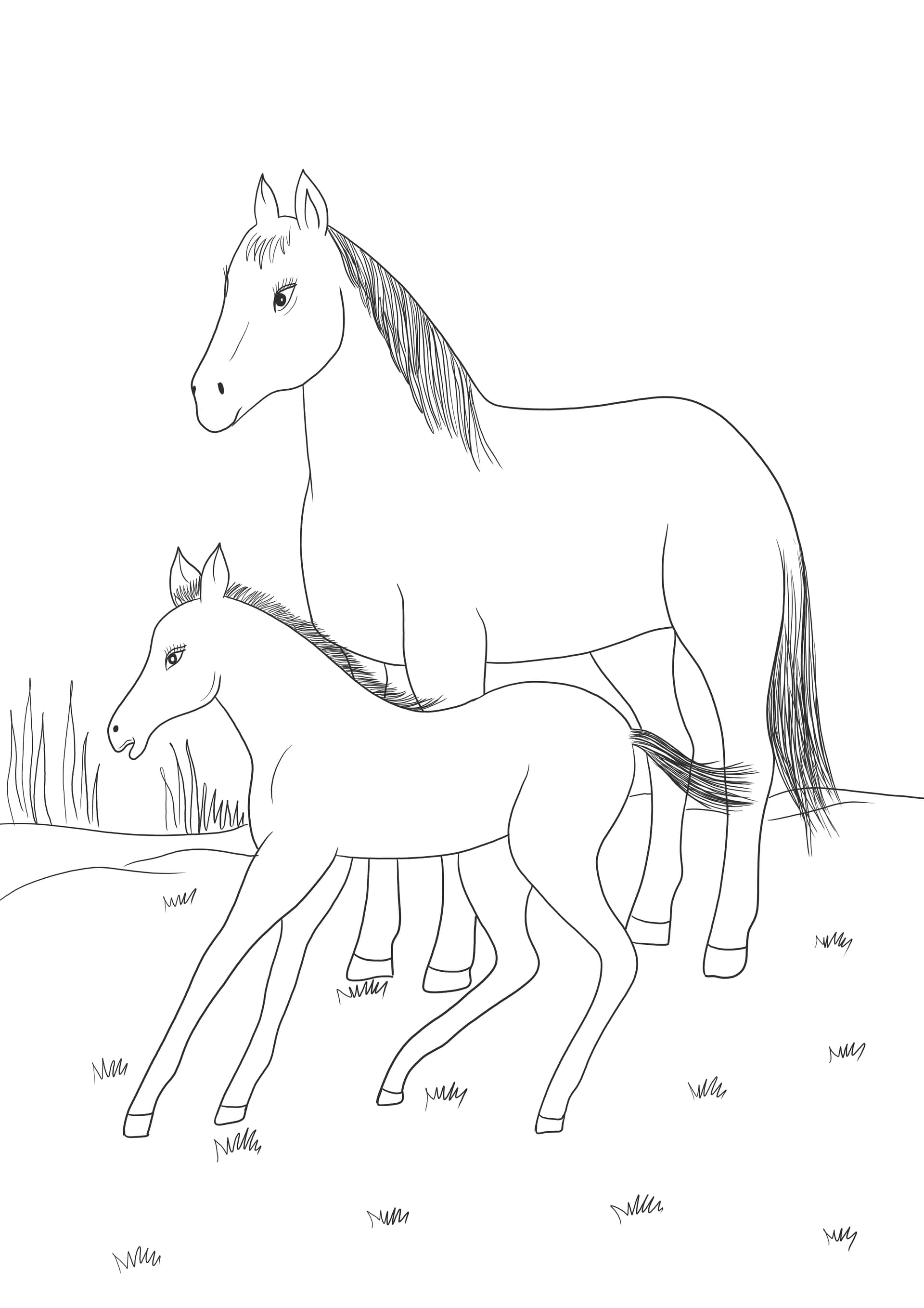 Mare and foal