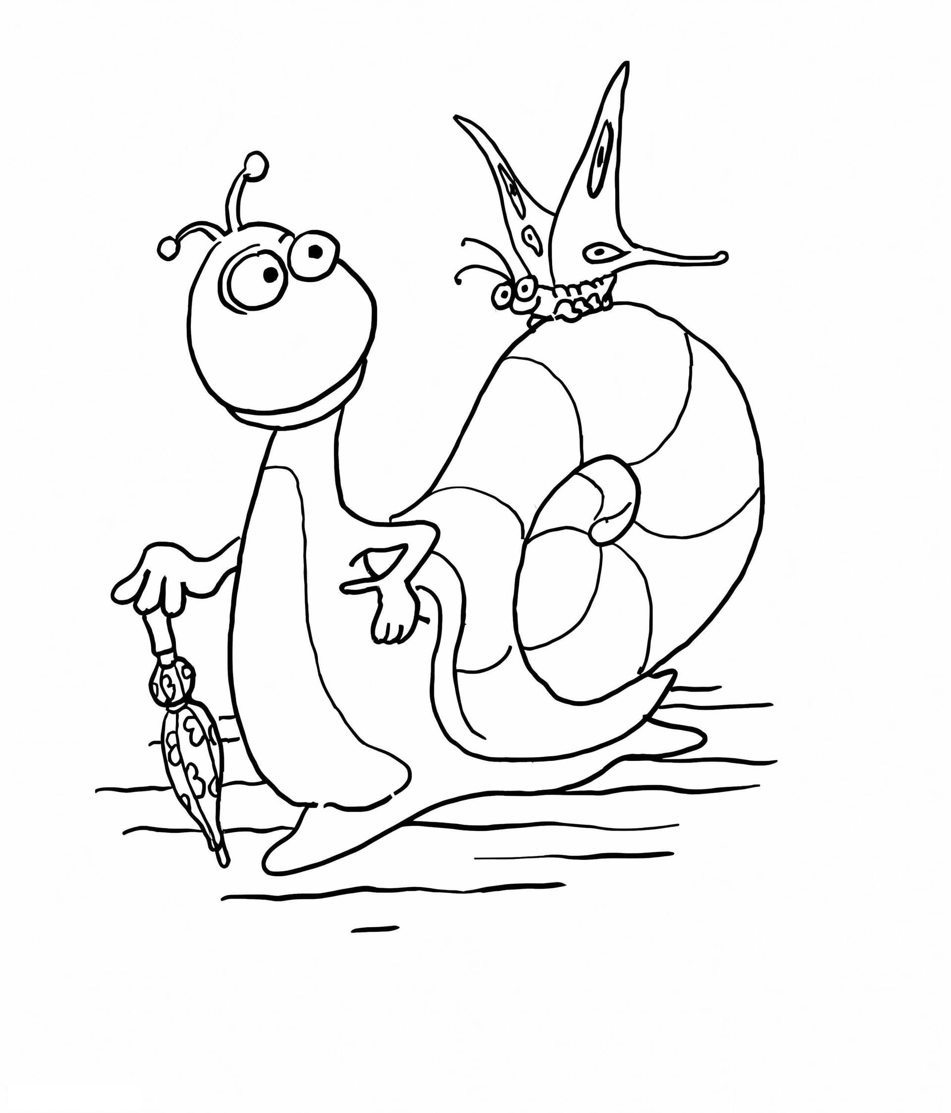 Butterfly On Snail